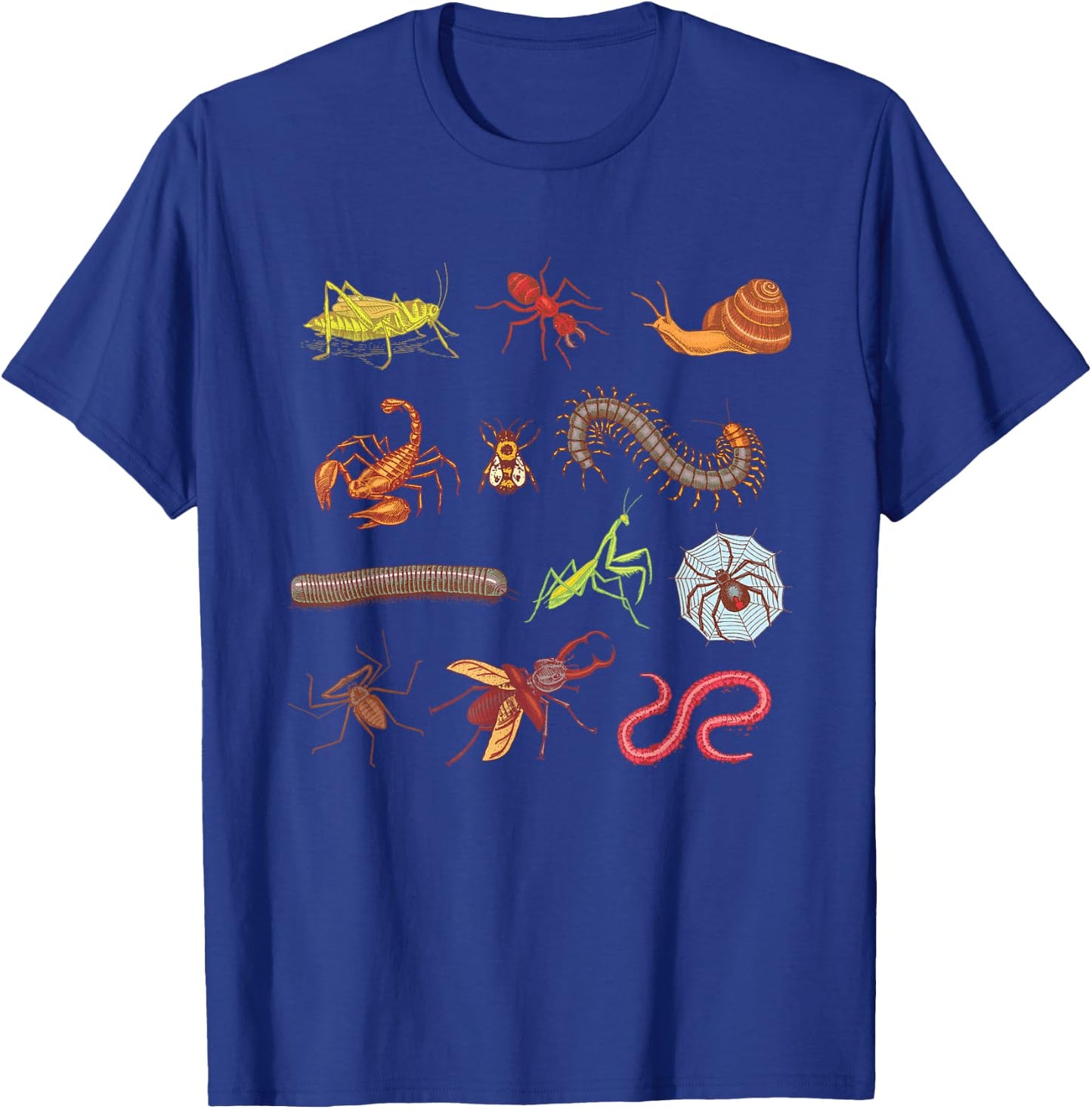 Entomologist Entomology Insects Type of Bugs Gift T-Shirt - T-Shirt | Royal