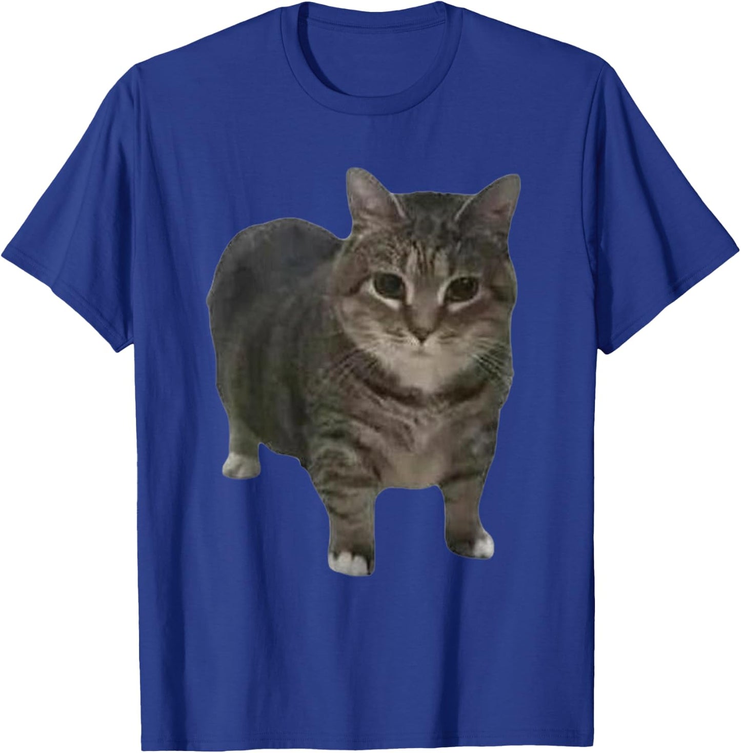 Funny oiia oiia Spinning Cat Meme Men Women T-Shirt - T-Shirt | Royal