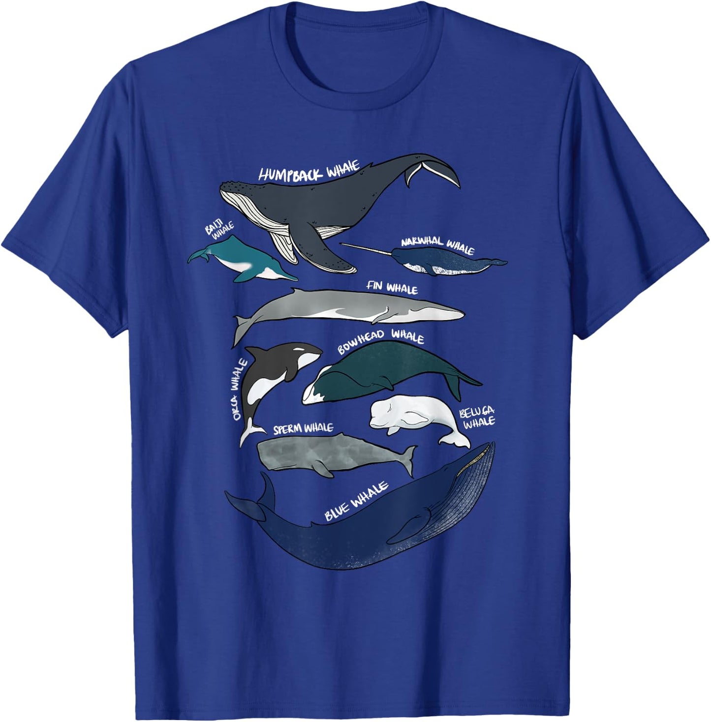 9 Types of Whales Shirt - Whale Breeds Species - Whale Lover T-Shirt - T-Shirt | Royal