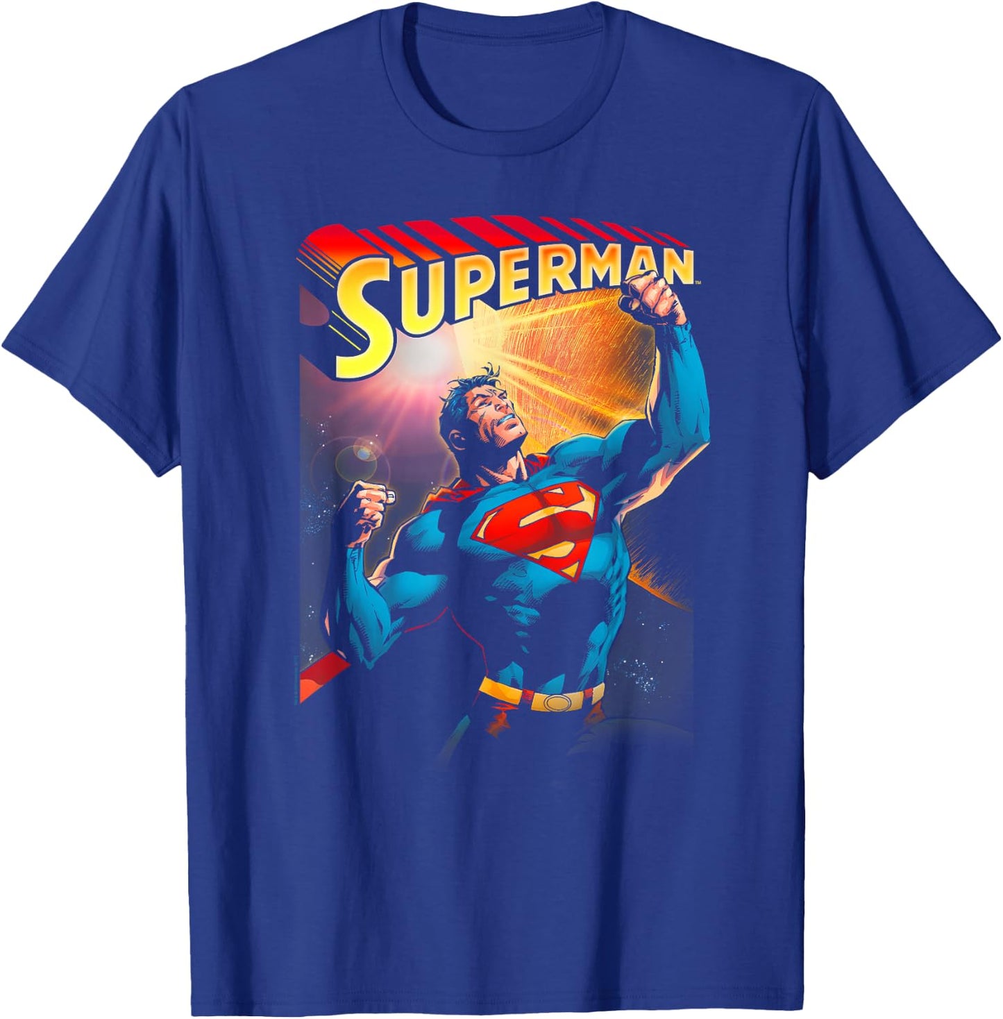 DC Comics Superman Victory -Adult , Black, Small, Short Sleeve T-Shirt - T-Shirt | Royal