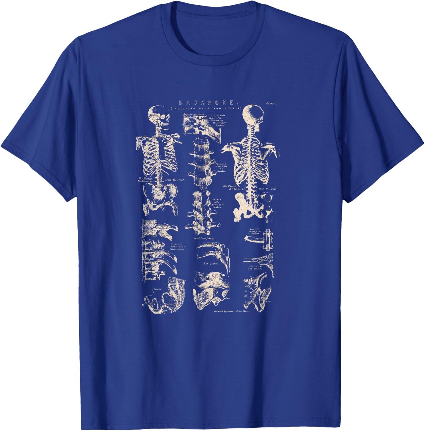 Vintage Backbone Illustration Human Anatomy Medical Science T-Shirt - T-Shirt | Royal