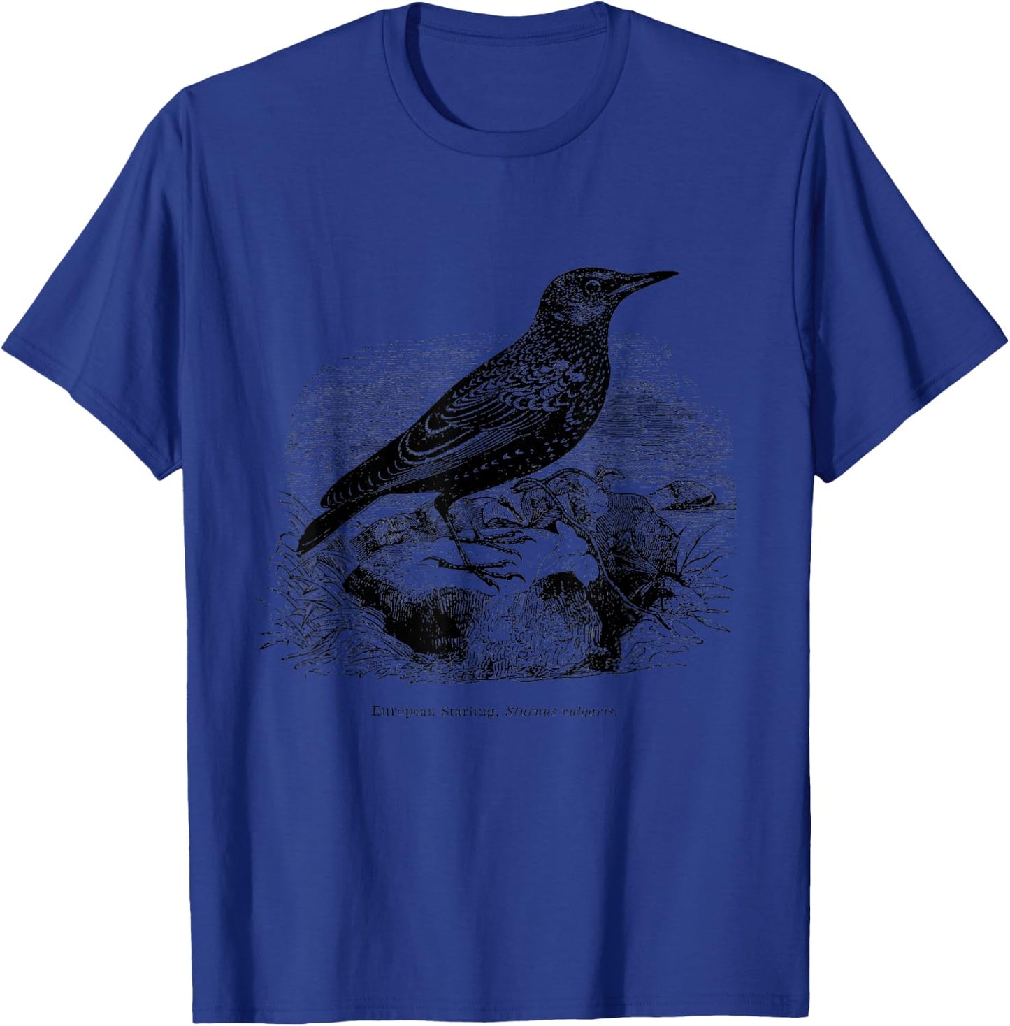 Common European Starling Vintage Bird Art T-Shirt - T-Shirt | Royal