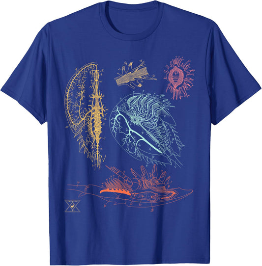 Ocean Sea Animal Horseshoe Crab Shirt T-Shirt - T-Shirt | Royal