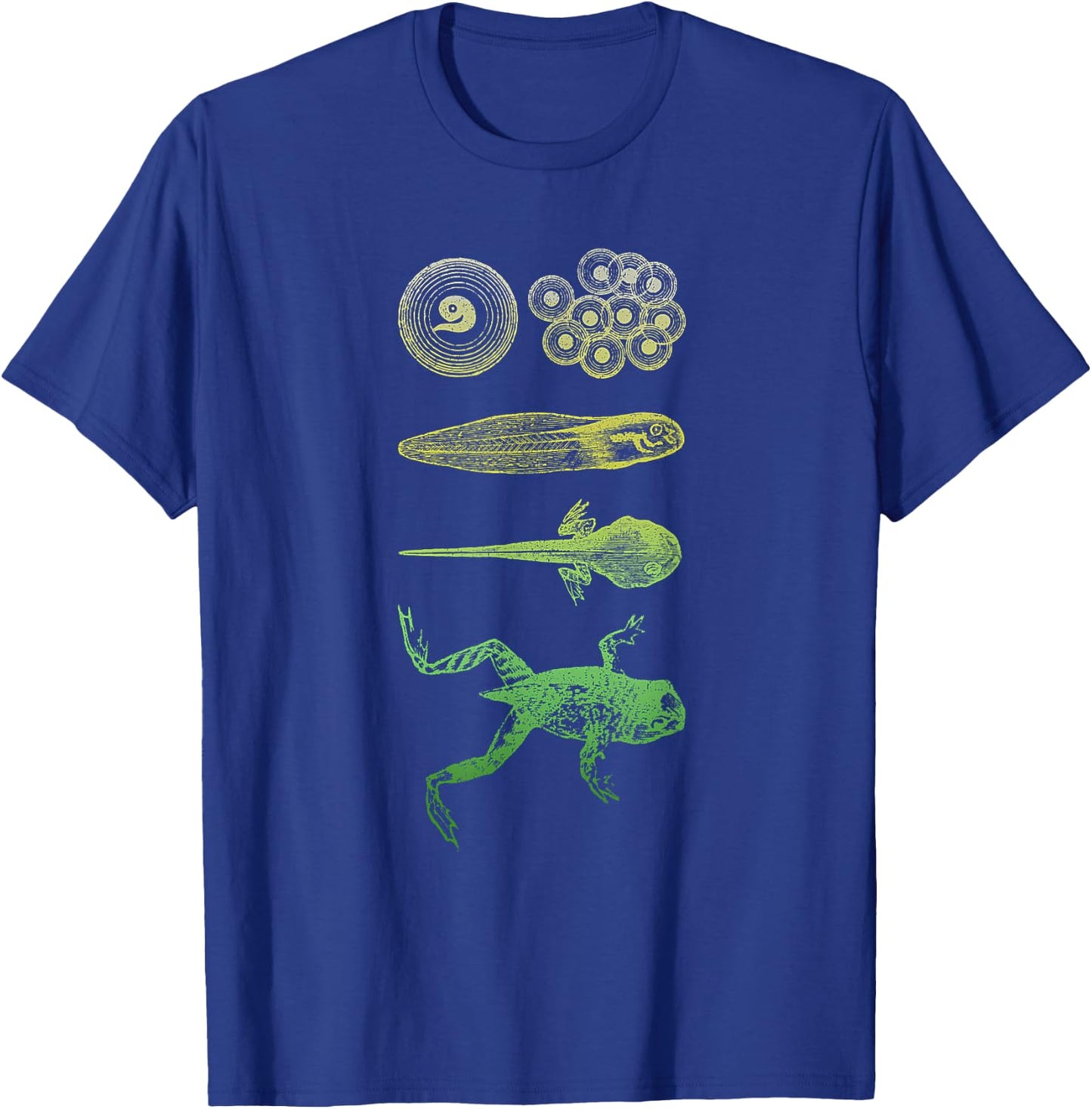 Frog Tadpole Metamorphosis Life Cycle Biology T-Shirt - T-Shirt | Royal