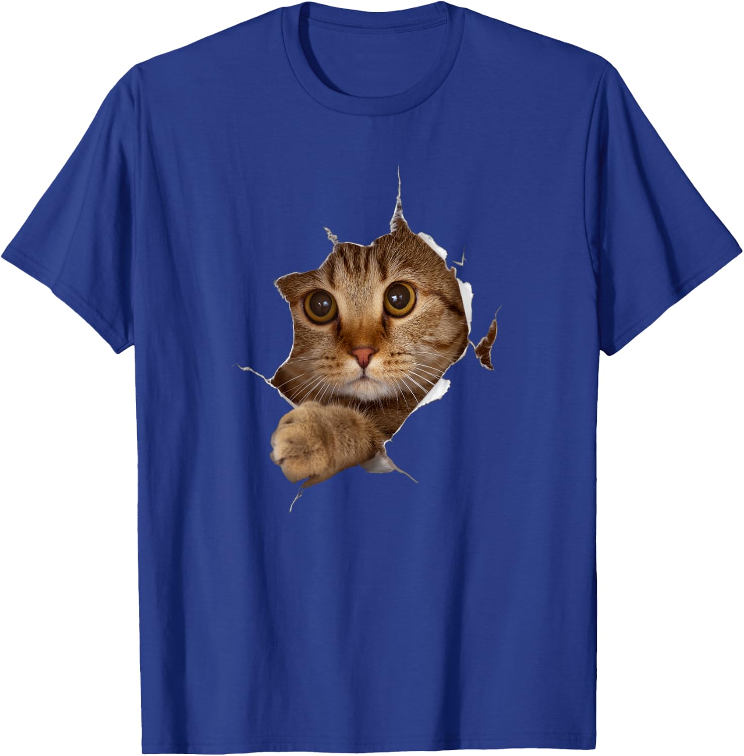 Sweet Kitten Torn Cloth - Funny Cat Lover Cat Owner Cat Lady T-Shirt - T-Shirt | Royal