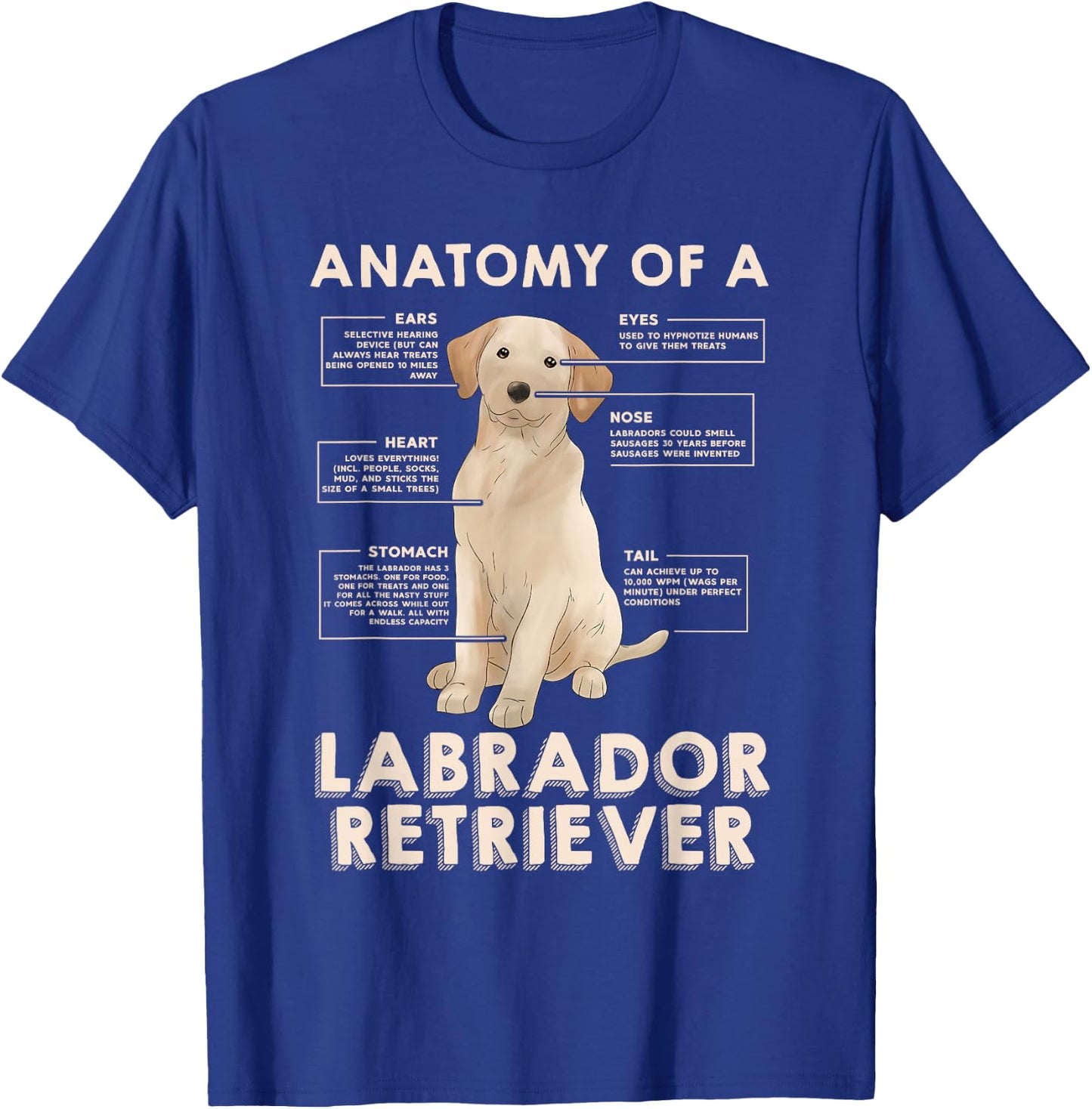 Funny Anatomy of a Labrador Retriever Graphic with Saying T-Shirt - T-Shirt | Royal
