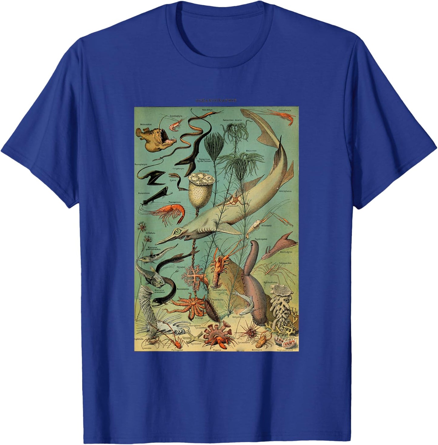 Vintage Inspired Ocean Sealife Chart T-Shirt - T-Shirt | Royal