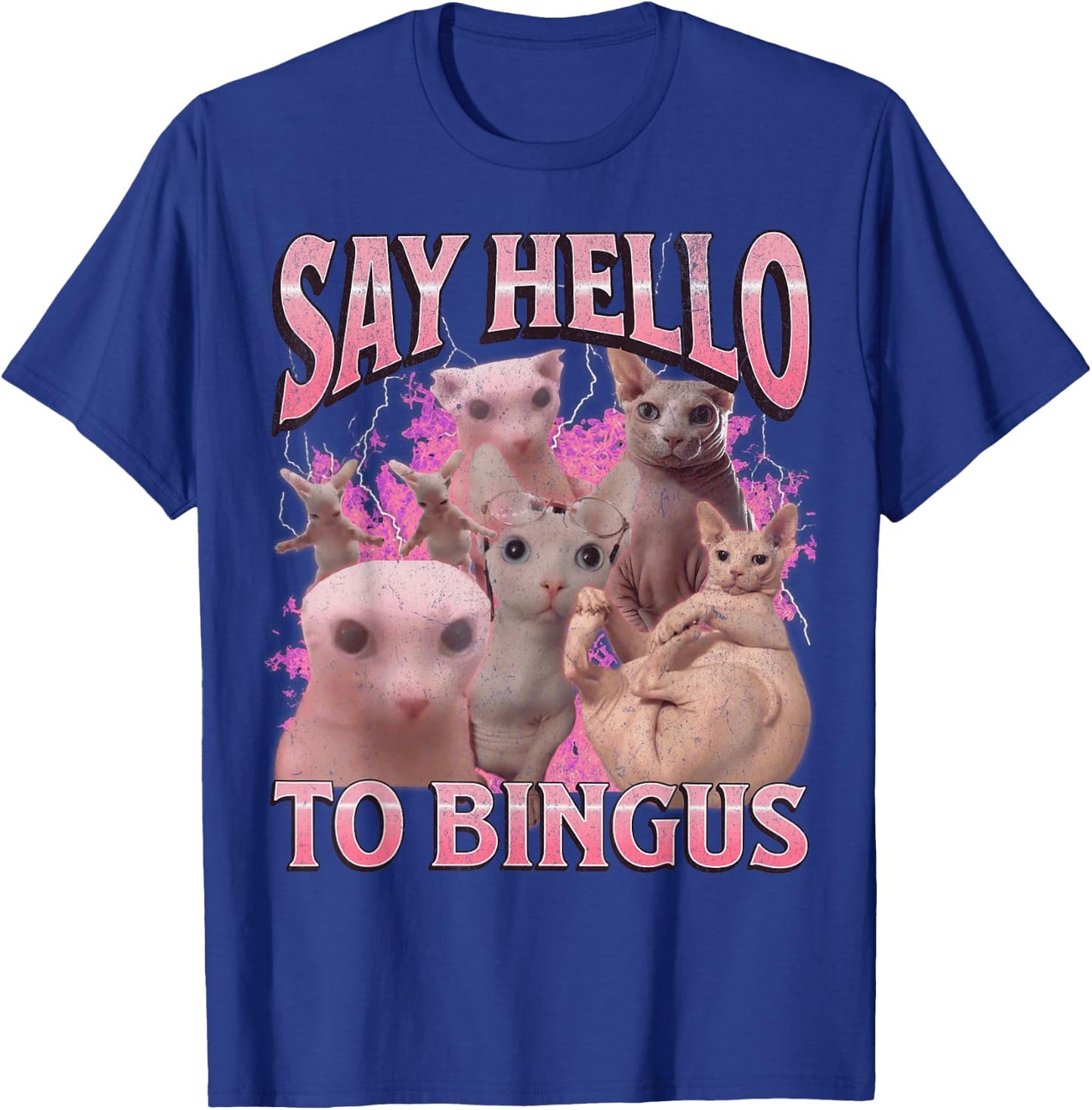 Say Hello To Bingus Funny Sphinx Cat Meme Bootleg Graphic T-Shirt - T-Shirt | Royal