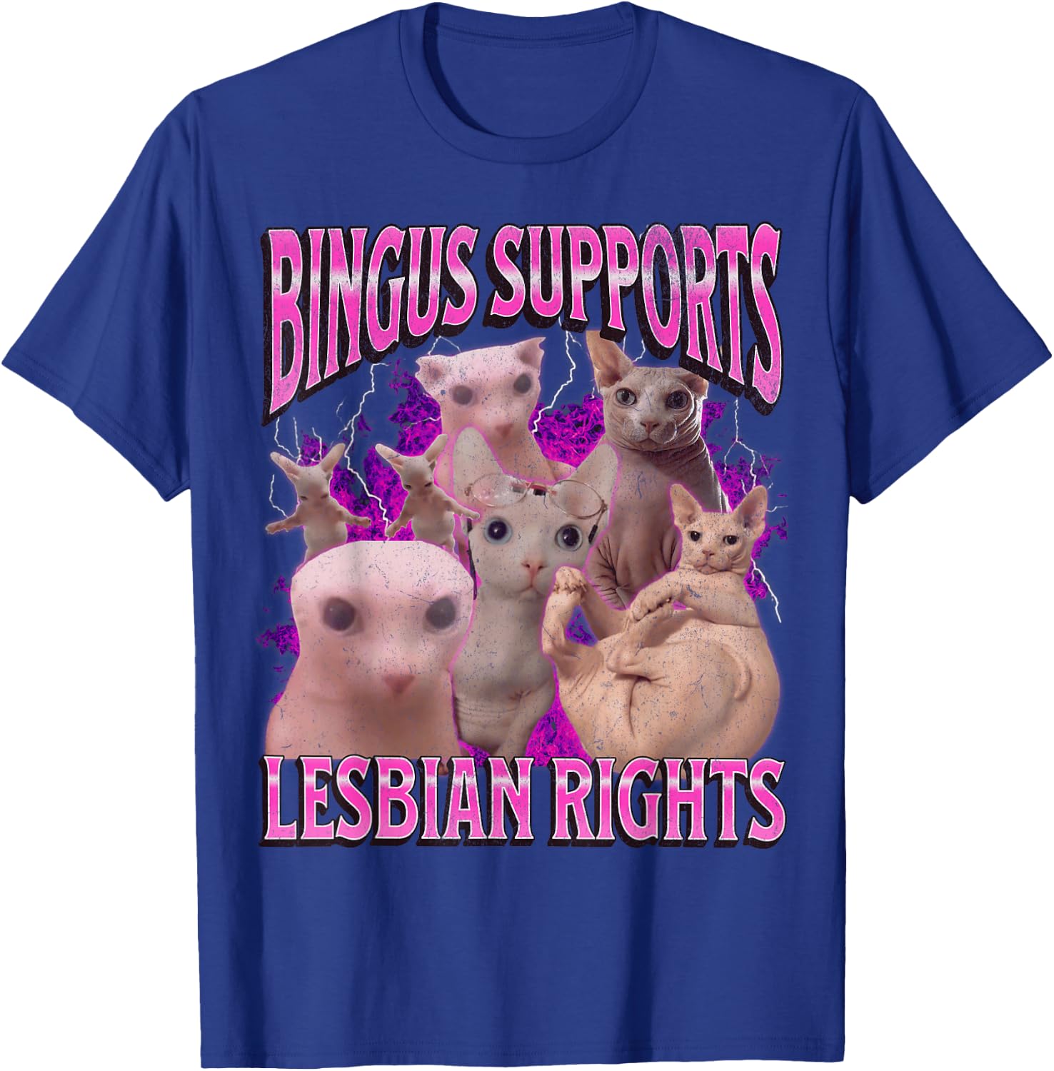 Bingus Supports Lesbian Rights Funny Cat Meme Bootleg T-Shirt - T-Shirt | Royal