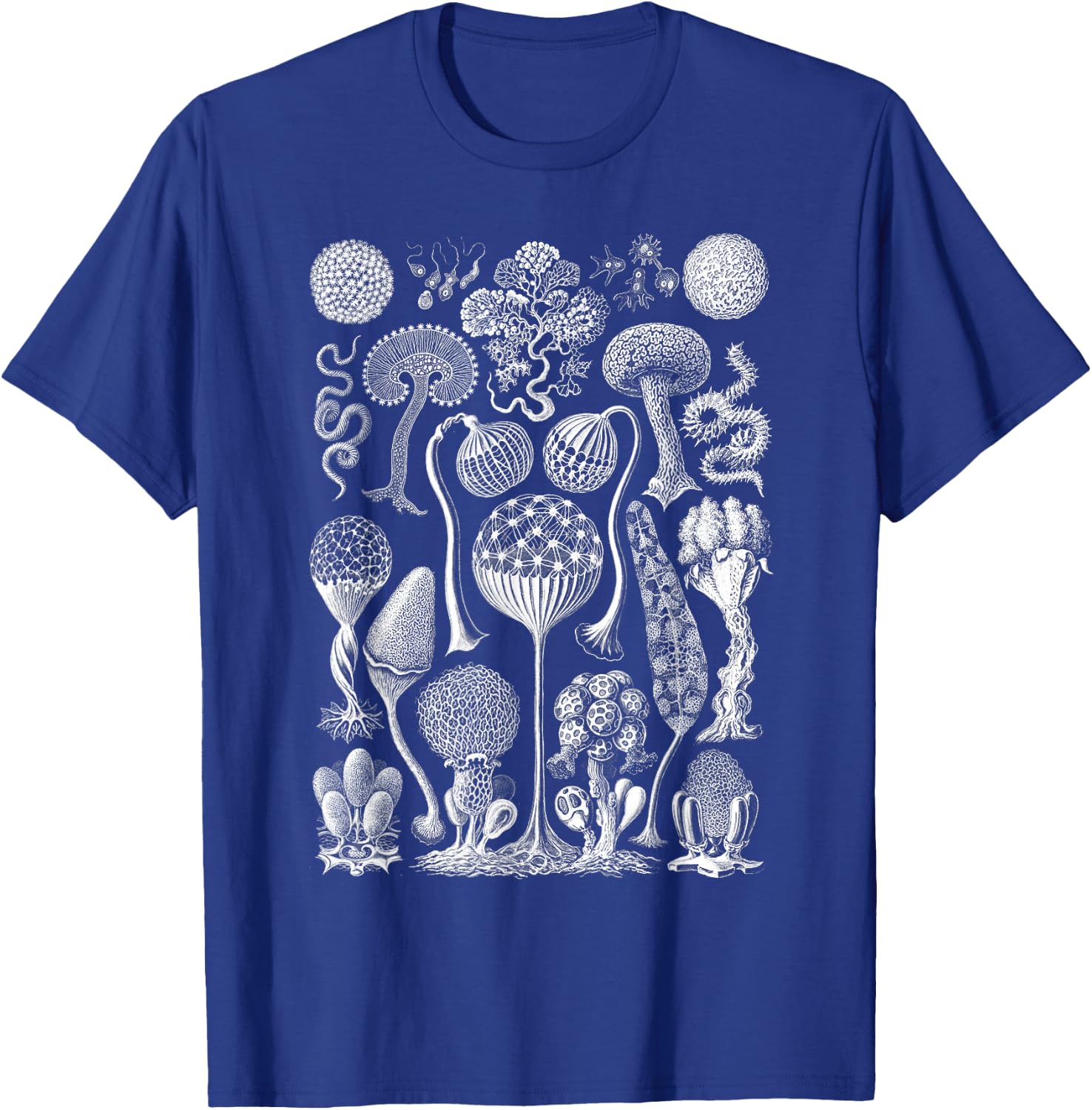 Vintage Haeckel Mycetozoa Slime Molds T-Shirt - T-Shirt | Royal