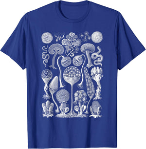 Vintage Haeckel Mycetozoa Slime Molds T-Shirt - T-Shirt | Royal