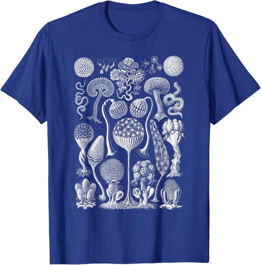 Vintage Haeckel Mycetozoa Slime Molds T-Shirt - T-Shirt | Royal