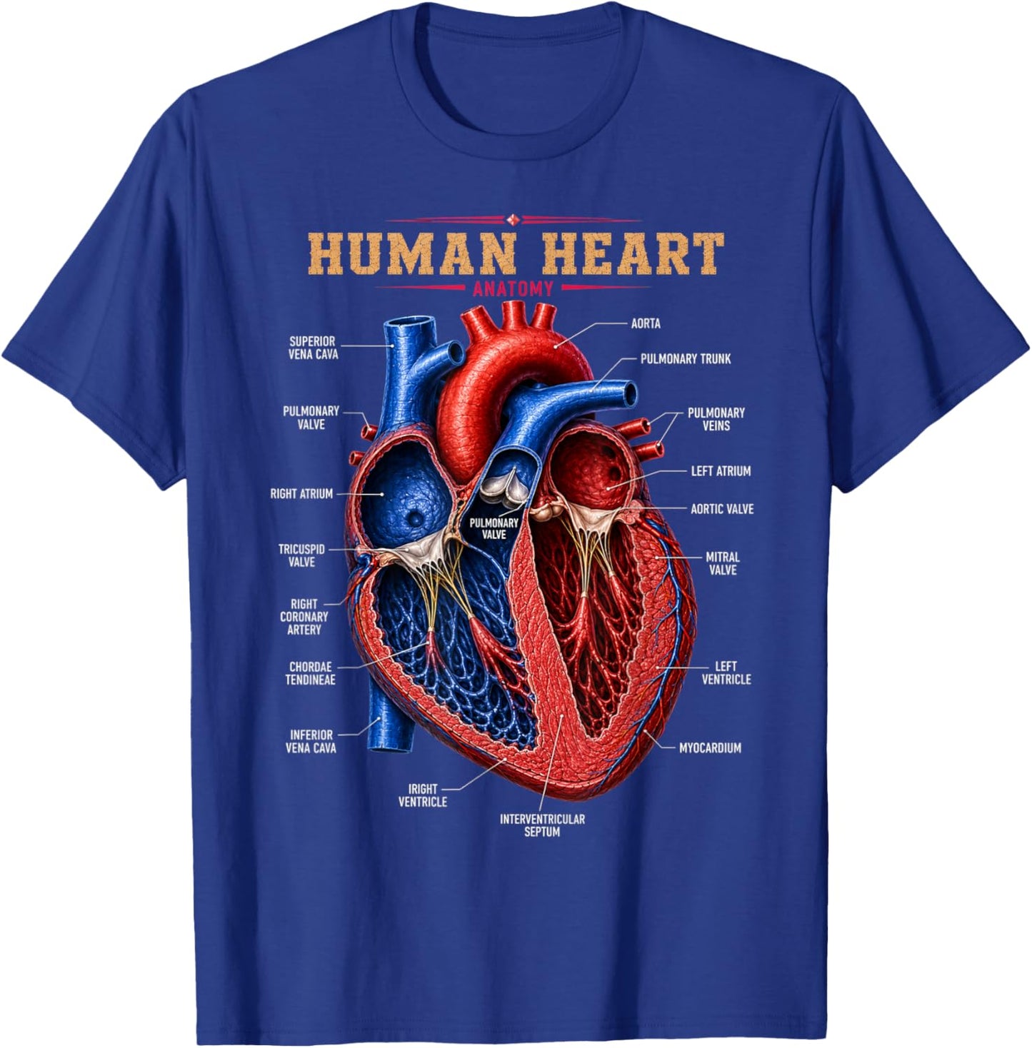 Anatomical Heart Structure Anatomy Biology Science Gifts Men T-Shirt - T-Shirt | Royal