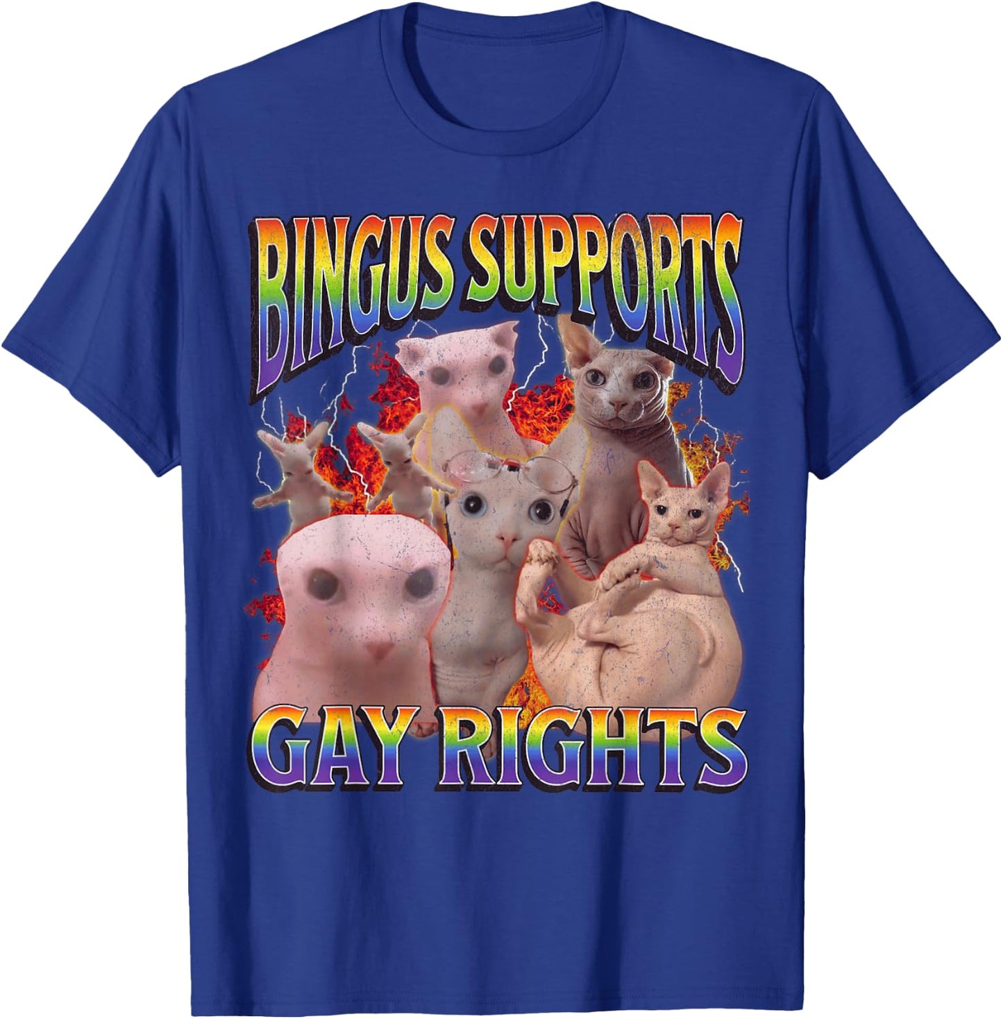 Bingus Supports Gay Rights Funny Sphinx Cat Meme Bootleg T-Shirt - T-Shirt | Royal