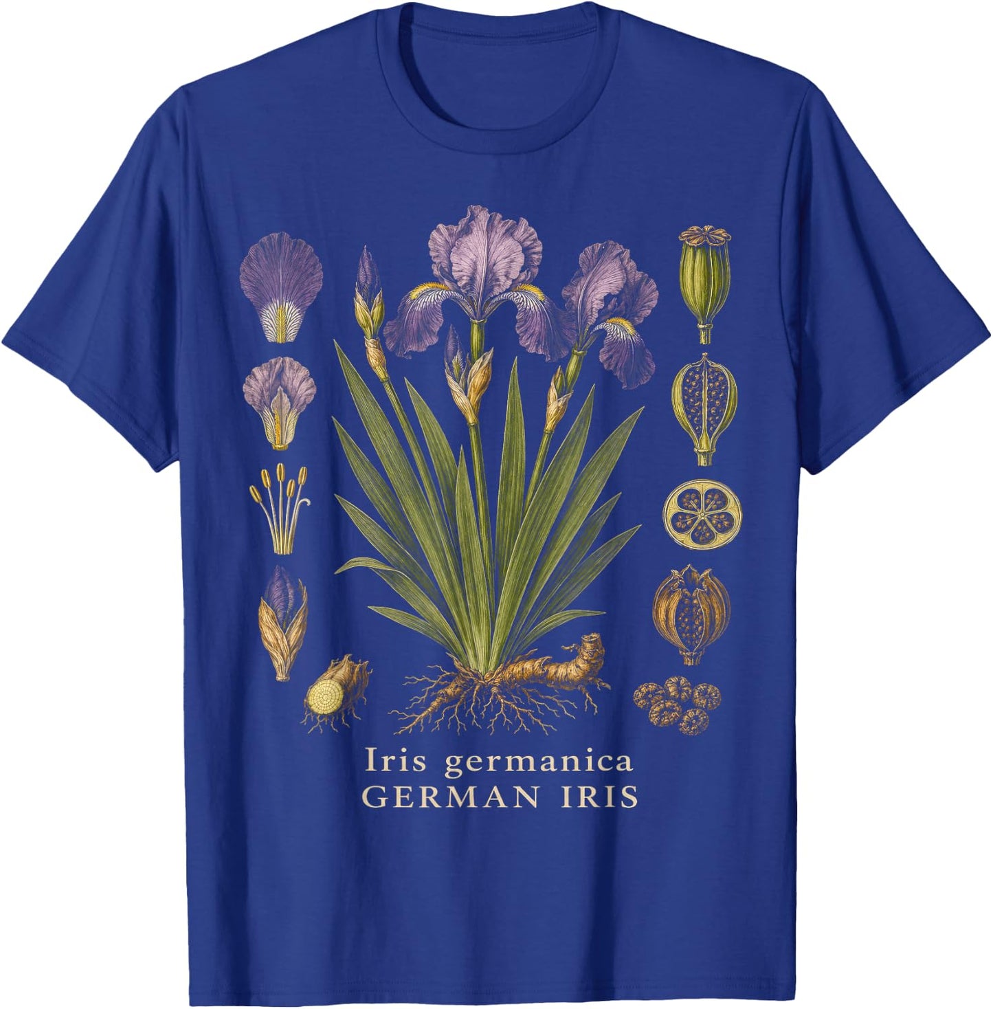 German Iris Botanical Anatomy Vintage Floral Study T-Shirt - T-Shirt | Royal