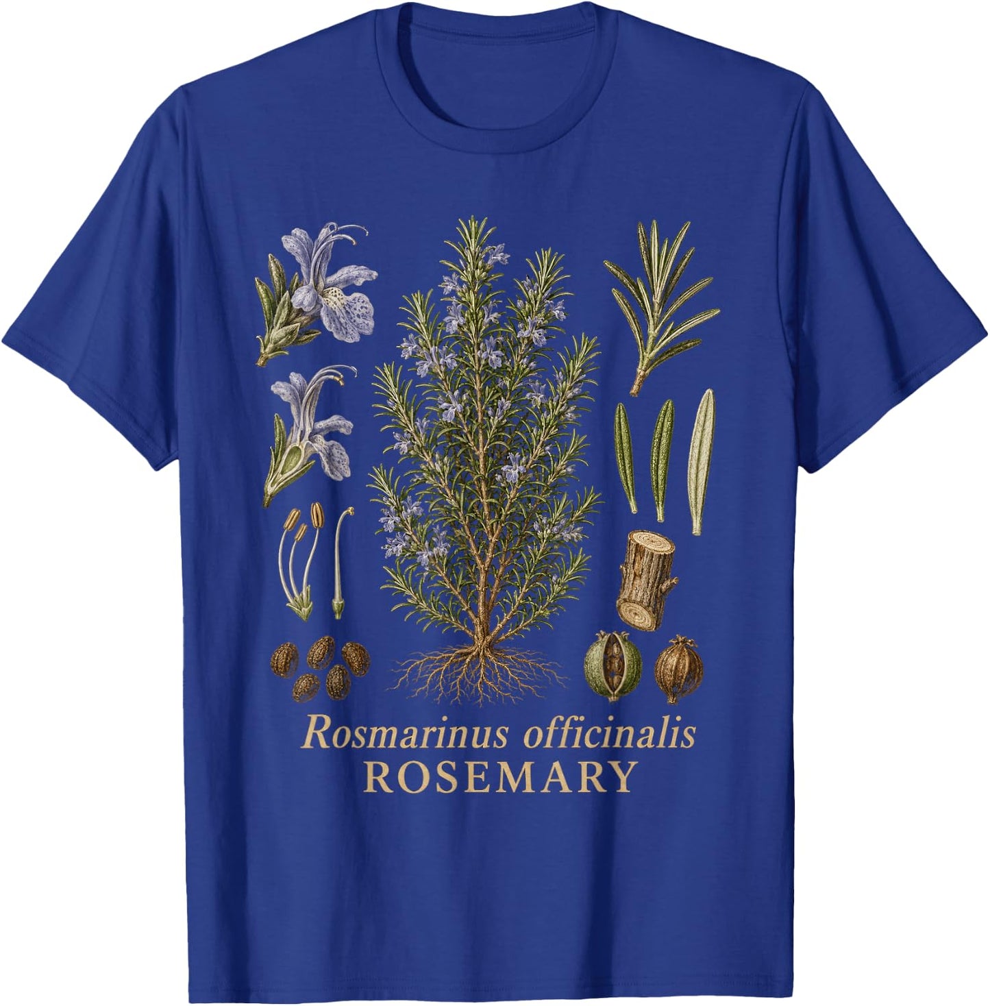 Rosemary Botanical Anatomy Herb Diagram Vintage Style T-Shirt - T-Shirt | Royal