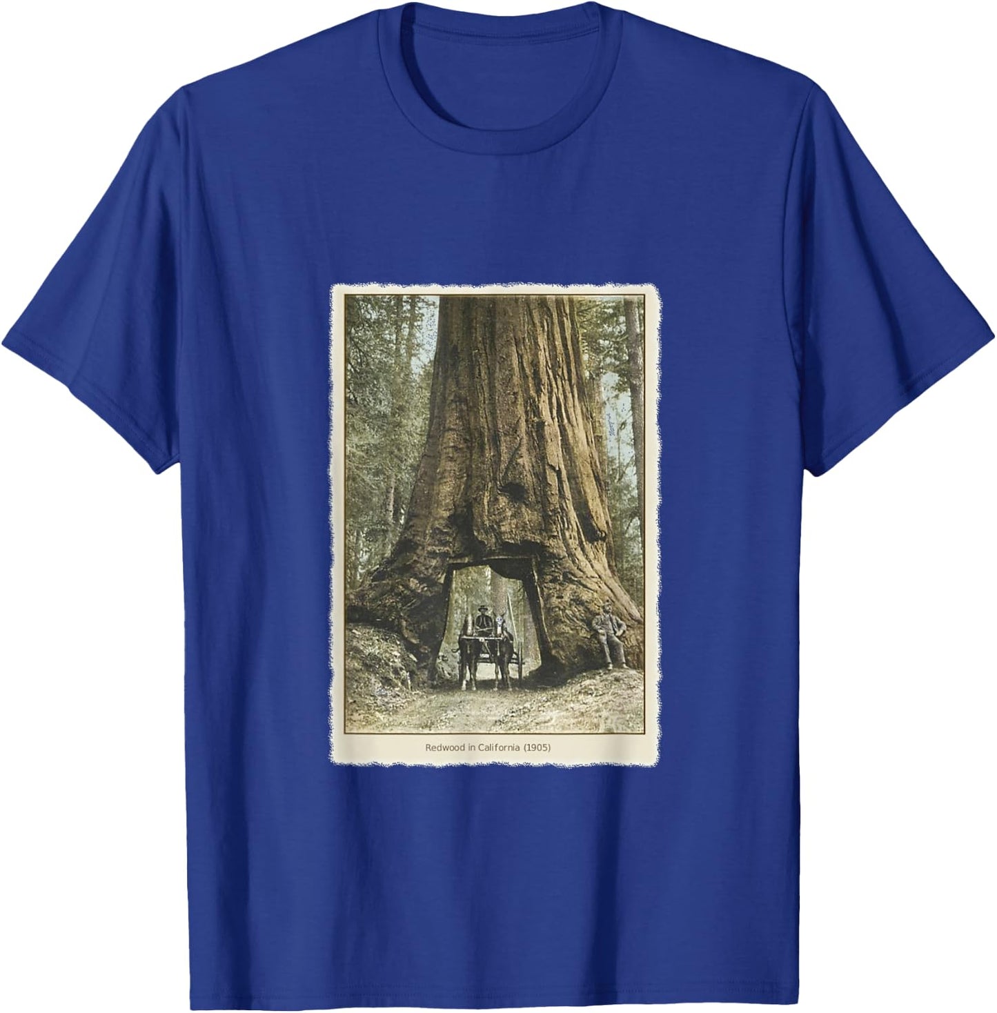 Vintage Redwood Forest T Shirt, California Redwoods Trees T-Shirt - T-Shirt | Royal