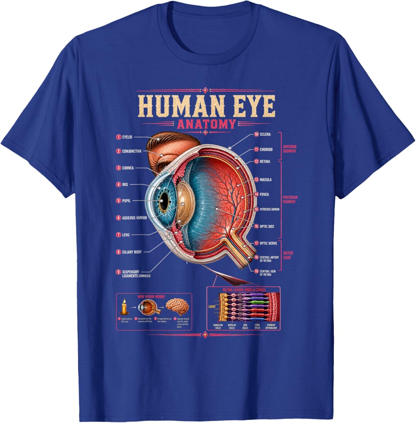 Human Eye Anatomy Biology Science Education Gifts Men Women T-Shirt - T-Shirt | Royal