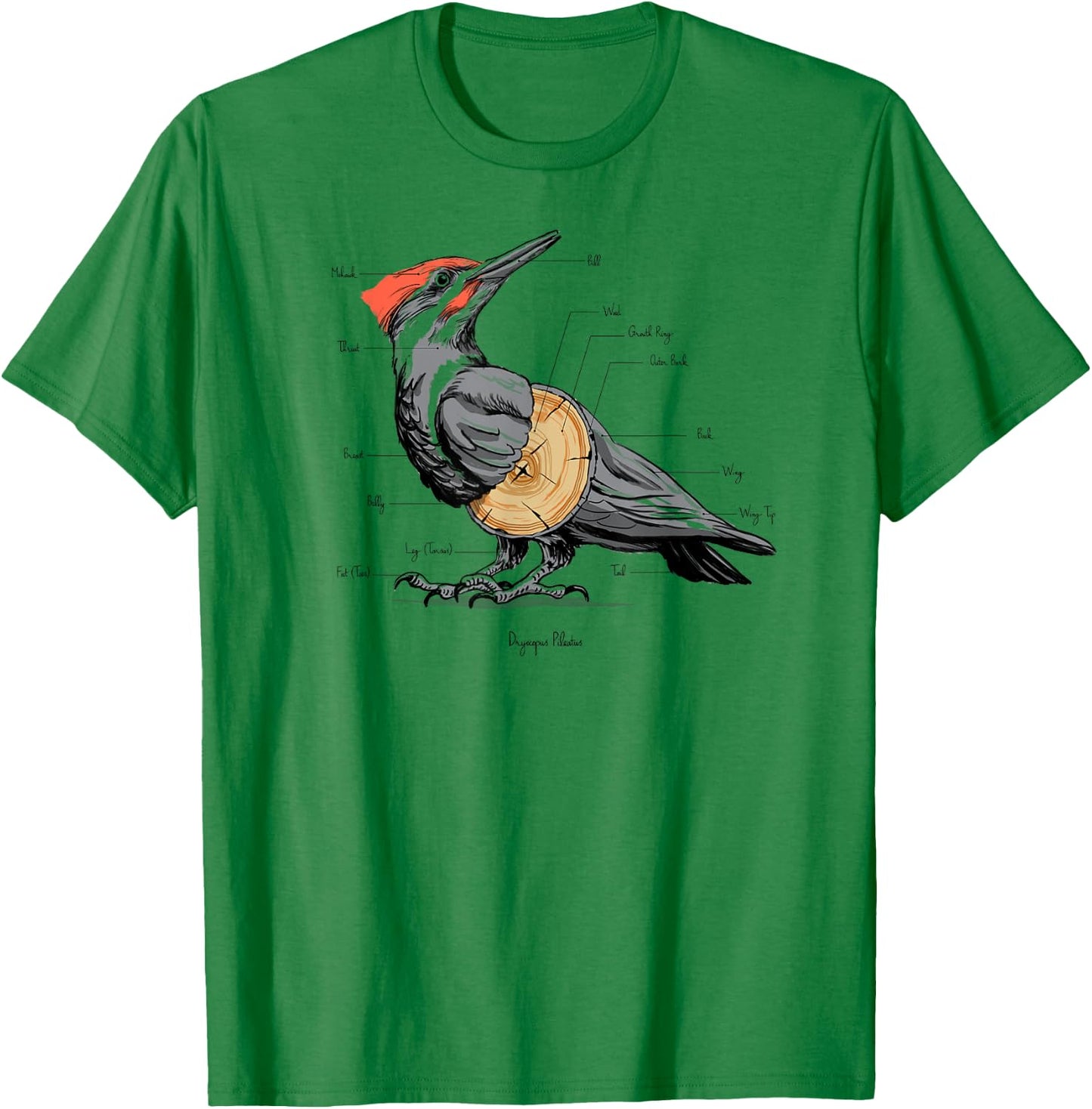 Woodpecker anatomy T-Shirt - T-Shirt | Irish Green