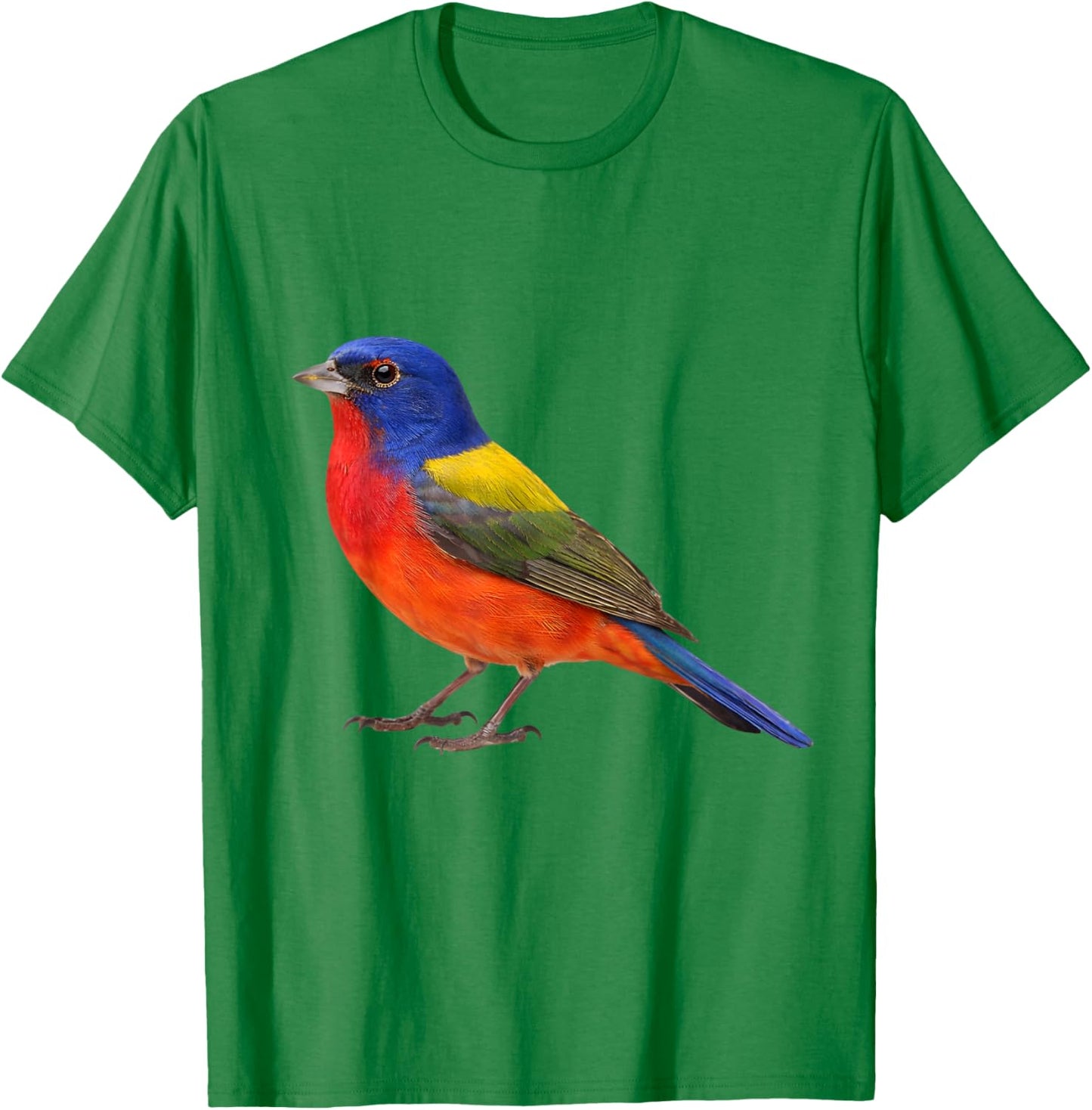 Painted Bunting Bird Aesthetic Illustration T-Shirt - T-Shirt | Irish Green