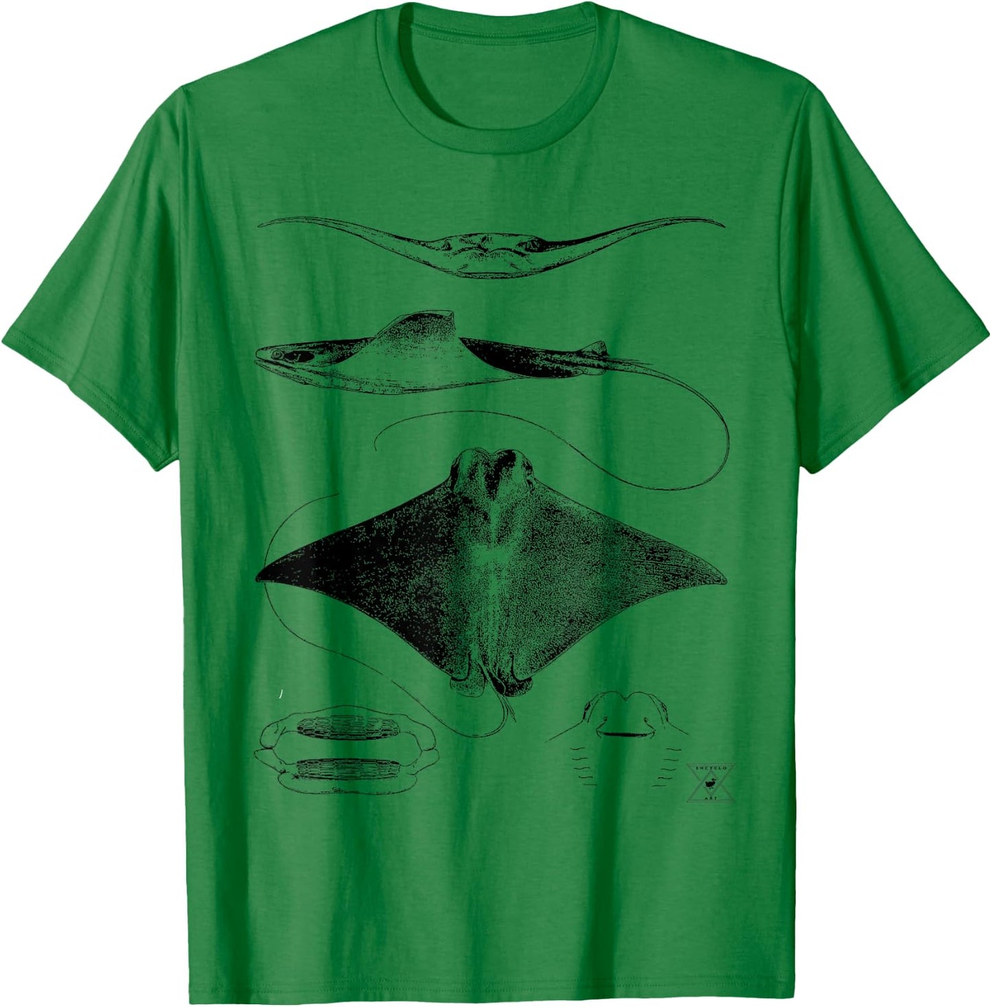 Stingray Anatomy | Sharks Rays Oceanography Sea Life T-Shirt - T-Shirt | Irish Green