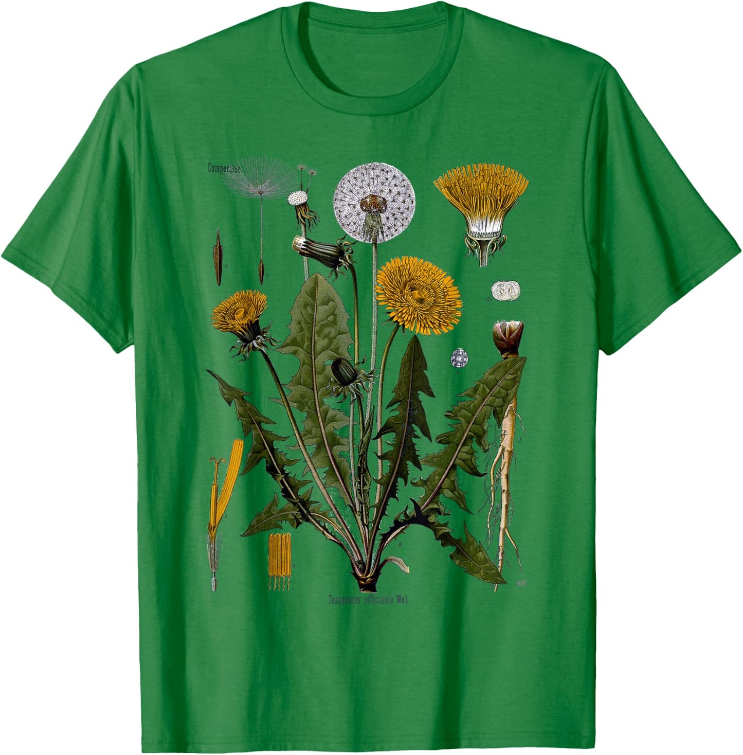 Dandelion Botanical T- Shirt Dandelion Root Vegetarian T-Shirt - T-Shirt | Irish Green
