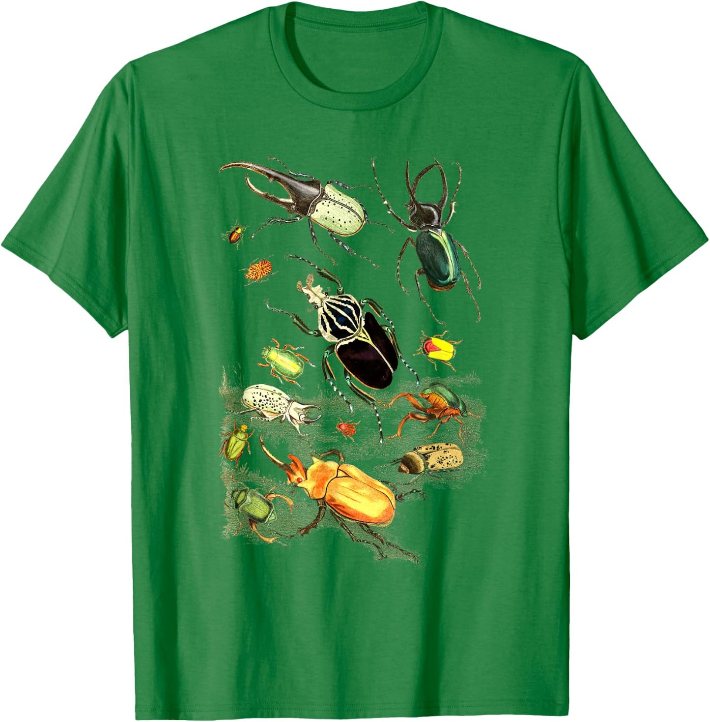 Insects Collection Species Bugs vintage Chart Entomology T-Shirt - T-Shirt | Irish Green