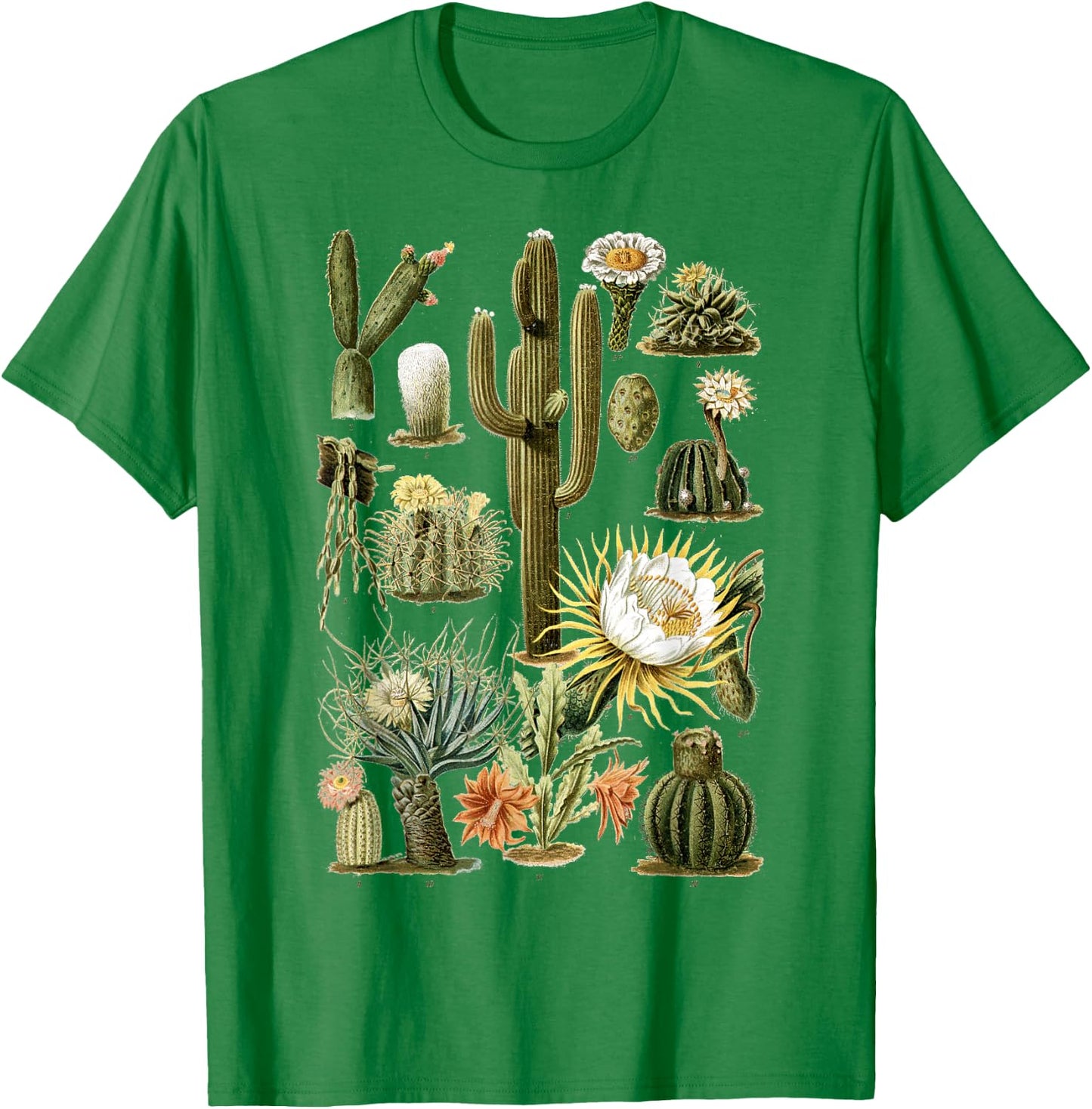 Cactus Succulent Plant Vintage Cacti Botanical Botanical T-Shirt - T-Shirt | Irish Green