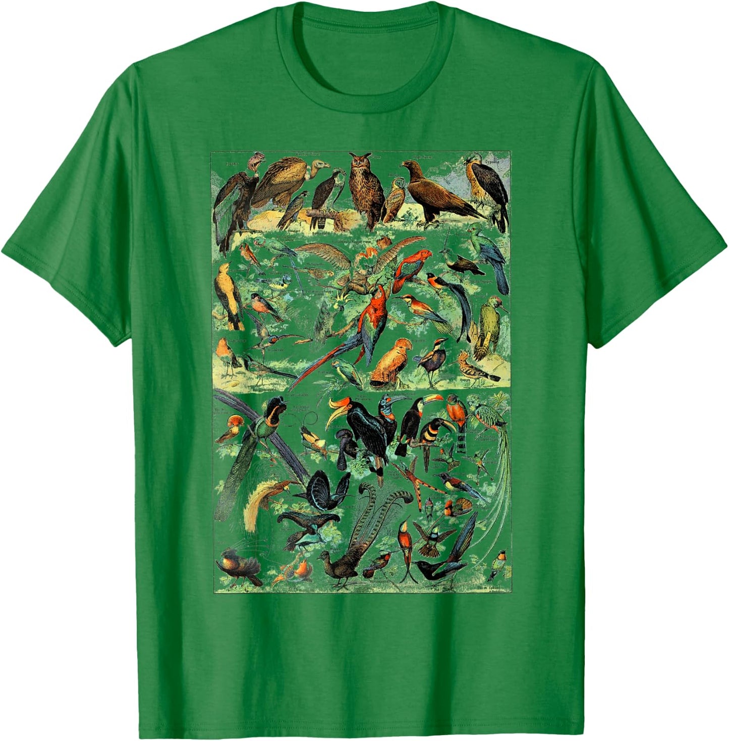 Bird Nature Birding Watcher Ornithology chart Types of birds T-Shirt - T-Shirt | Irish Green