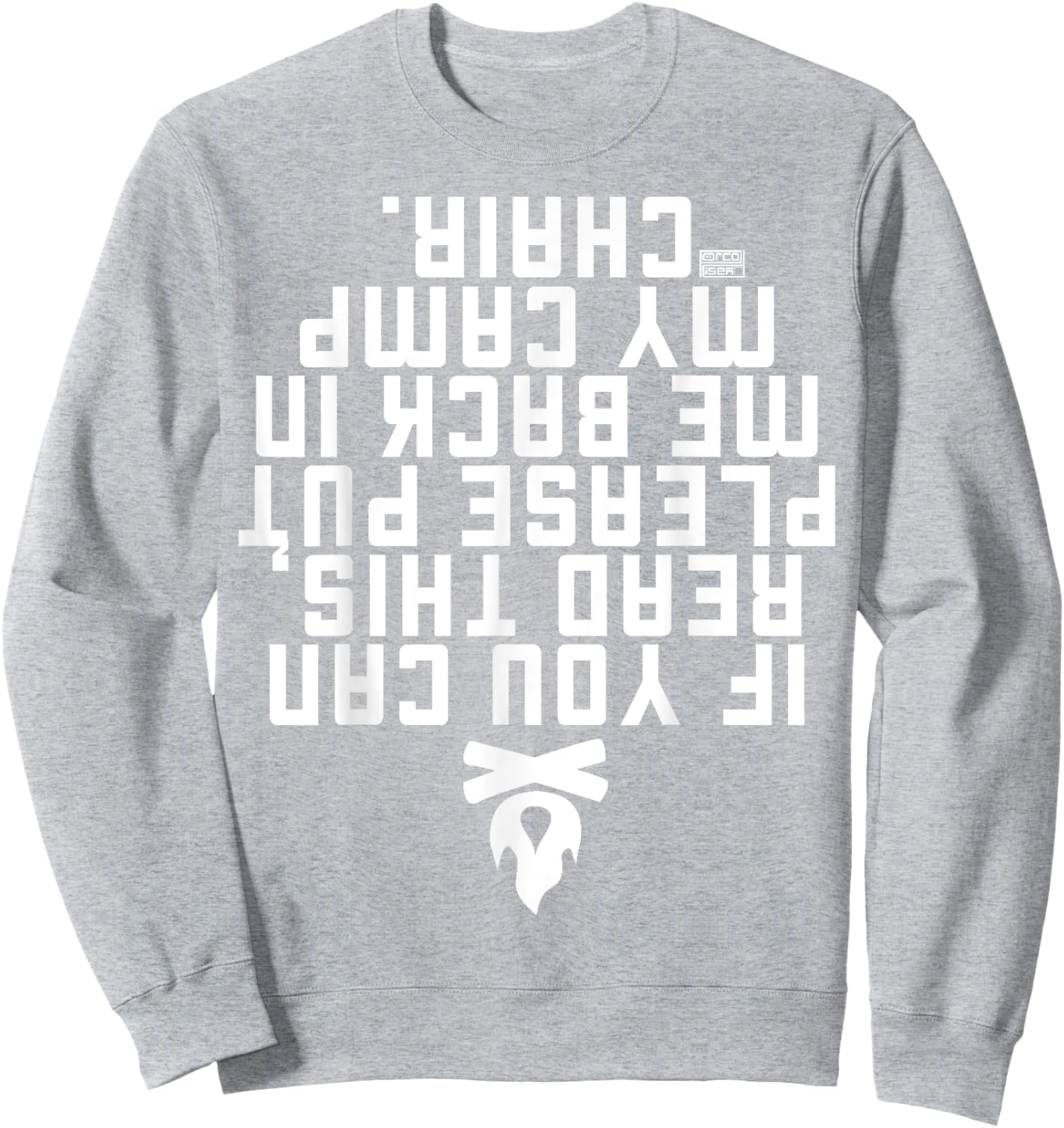 Funny IF You CAN Read This Put ME Back Camp Camping Sweatshirt - Sweatshirt | Ash