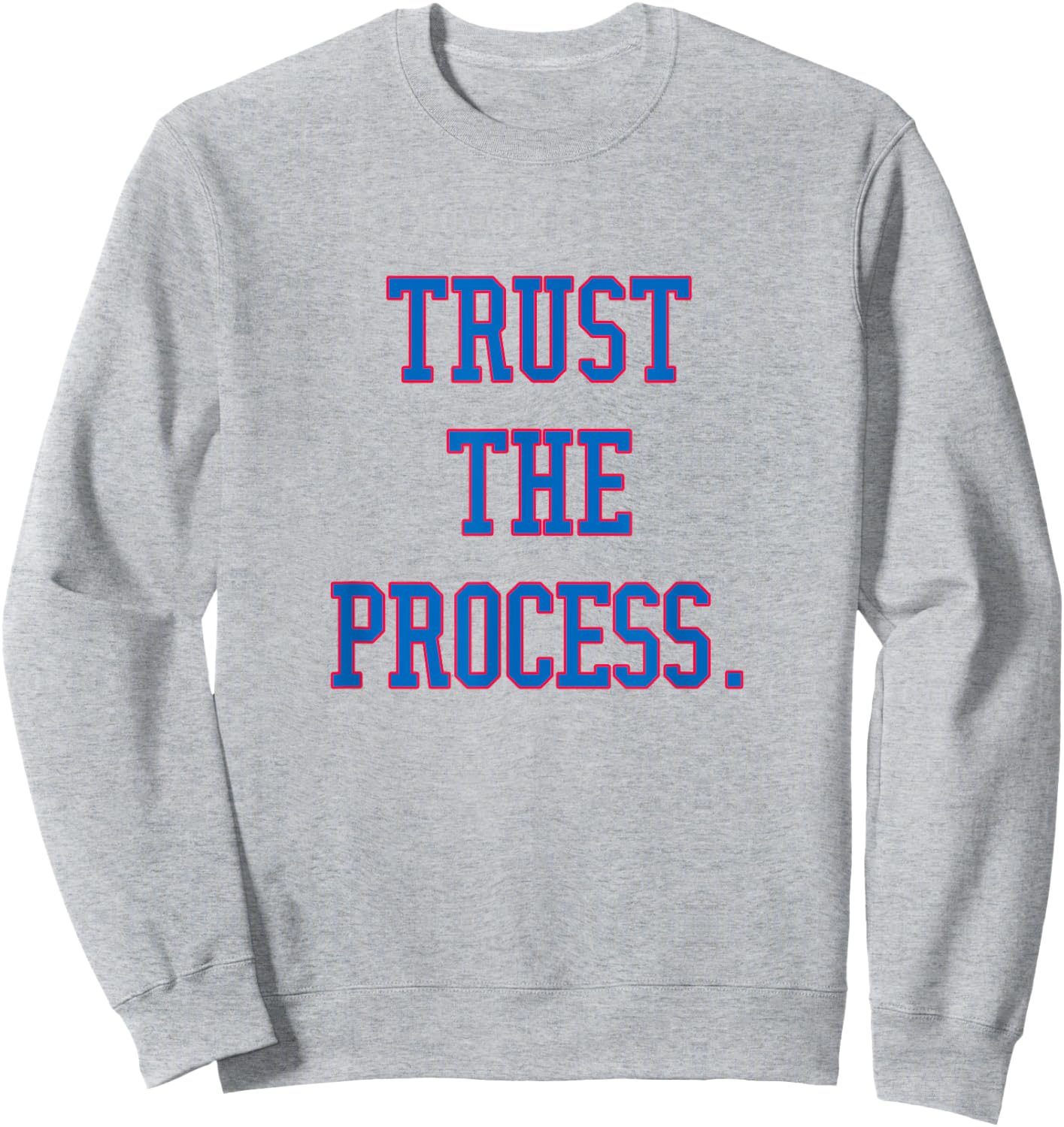 Trust the Process Shirt Sweatshirt - Sweatshirt | Ash
