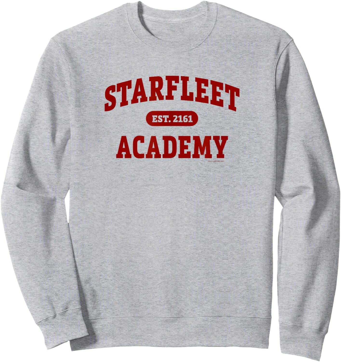 Star Trek Starfleet Academy EST. 2161 Sweatshirt - Sweatshirt | Ash