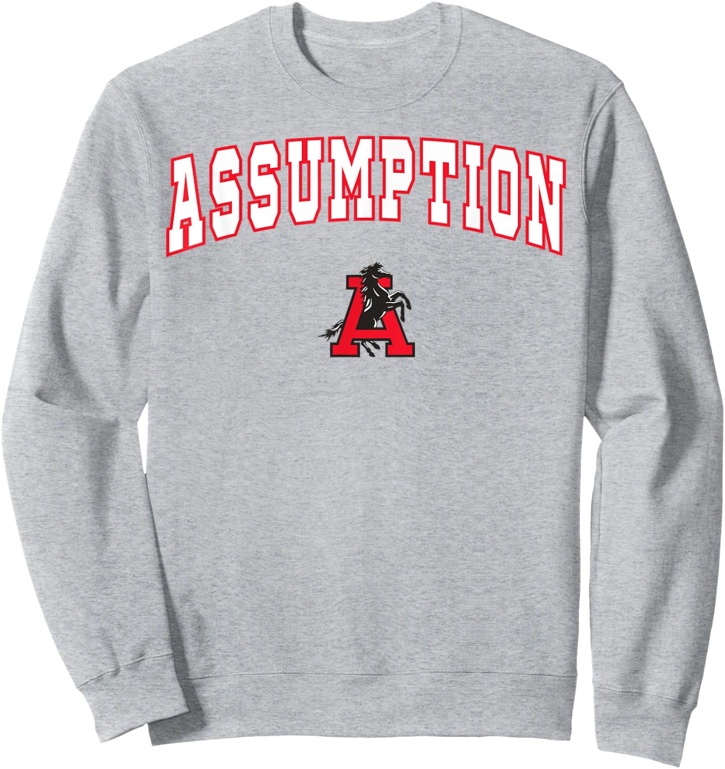 Assumption High School Mustangs C2 Sweatshirt - Sweatshirt | Ash