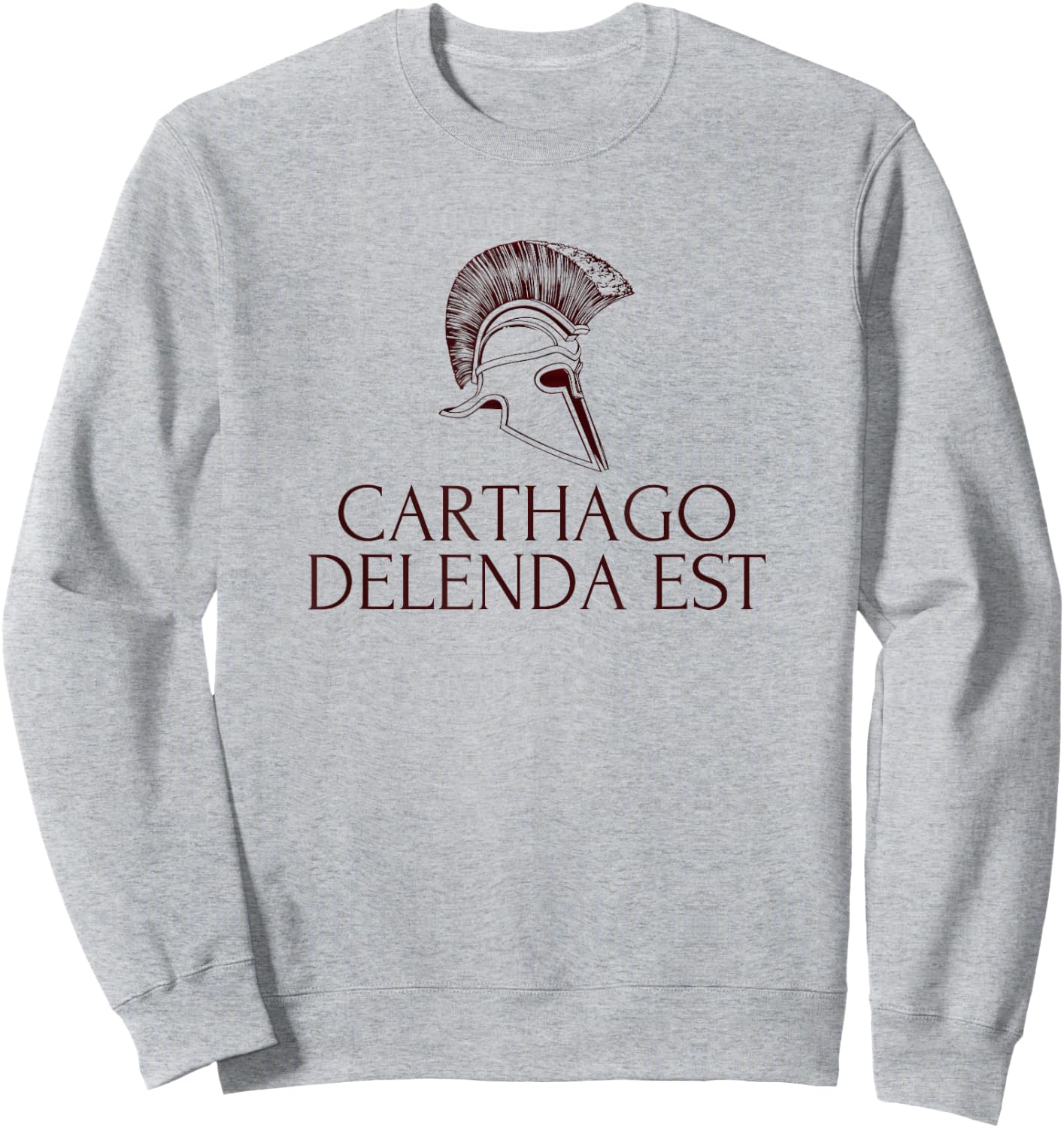 Carthago Delenda Est - Carthage Shirt Sweatshirt - Sweatshirt | Ash