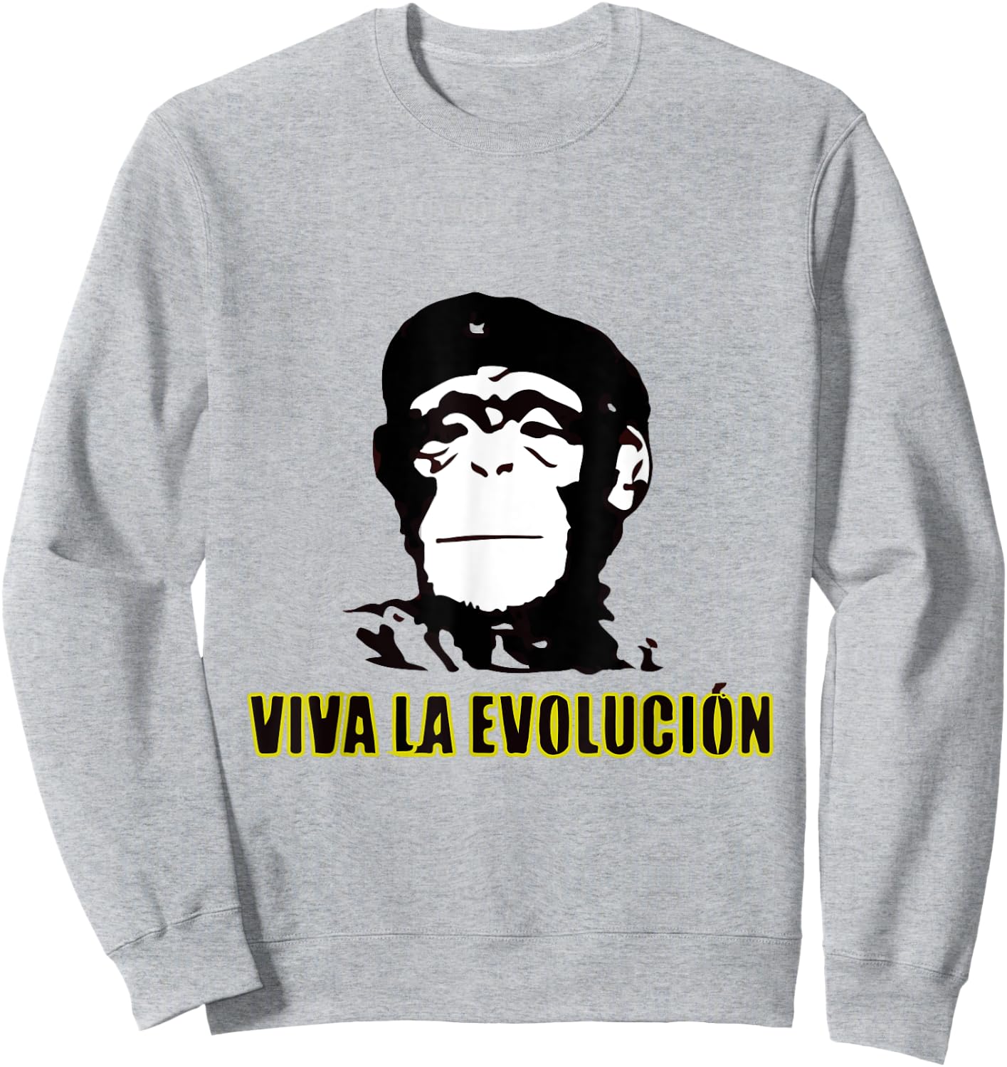 Viva La Evolucion Sweatshirt - Sweatshirt | Ash