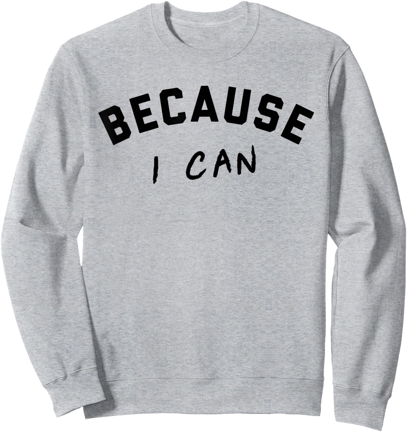 Because I Can Shirt Sweatshirt - Sweatshirt | Ash