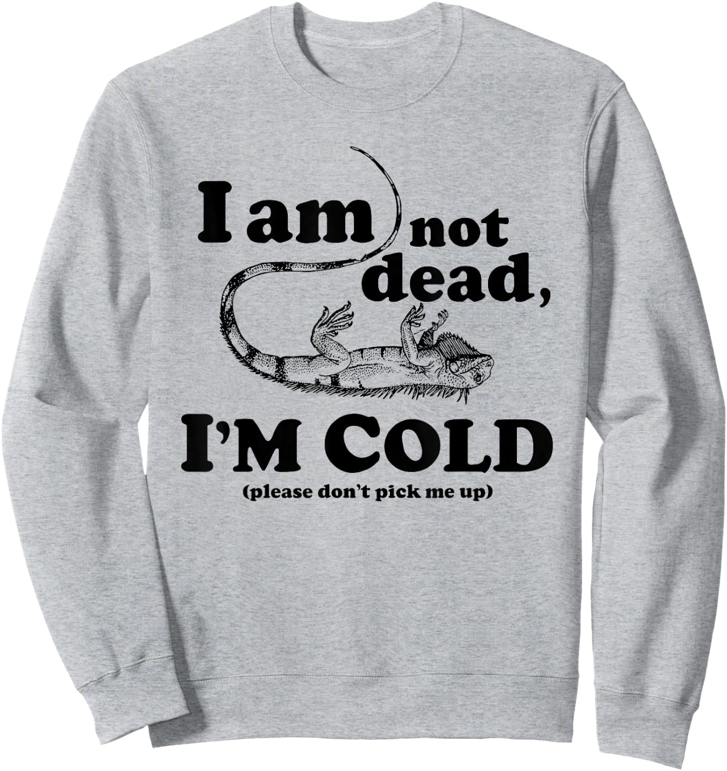 Frozen Iguana Shirt Sweatshirt - Sweatshirt | Ash