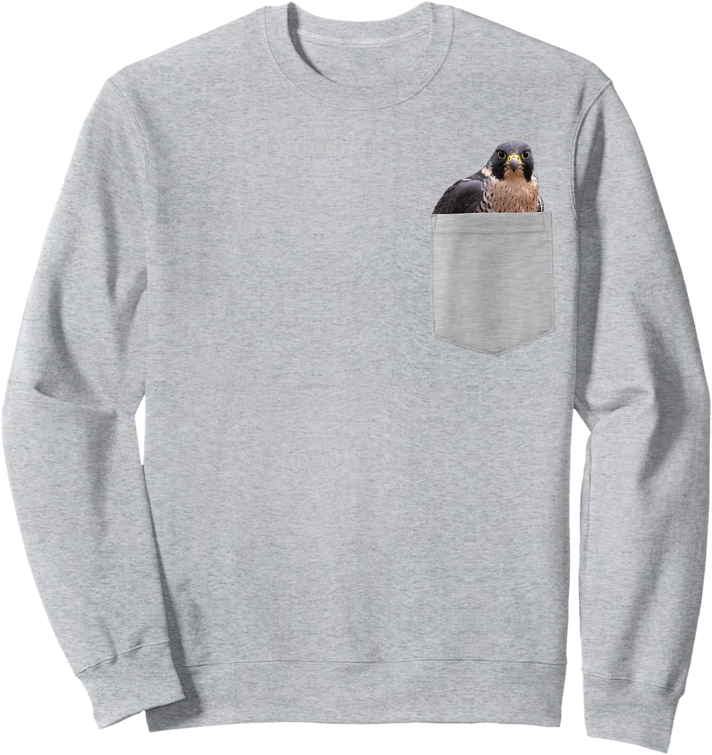 Animal in Your Pocket Peregrine Falcon (Falco peregrinus) Sweatshirt - Sweatshirt | Ash