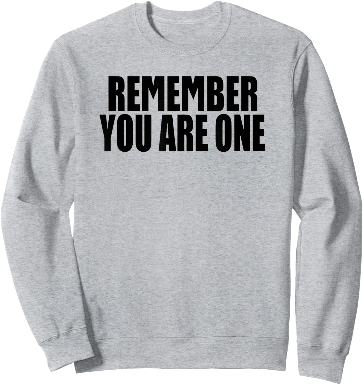 Remember you are one SUBSTANCE Sweatshirt - Sweatshirt | Ash