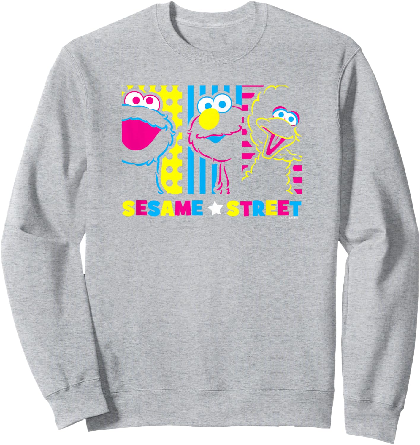 Sesame Street See Em Why Sweatshirt - Sweatshirt | Ash