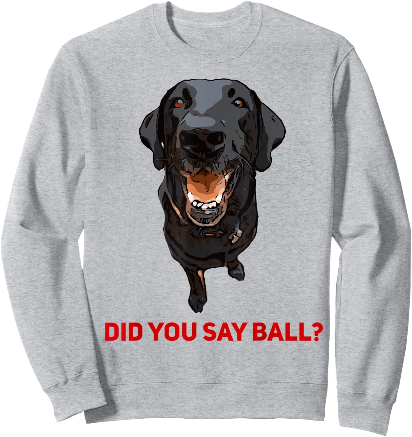 Black Lab Did you say Ball ? Sweatshirt - Sweatshirt | Ash