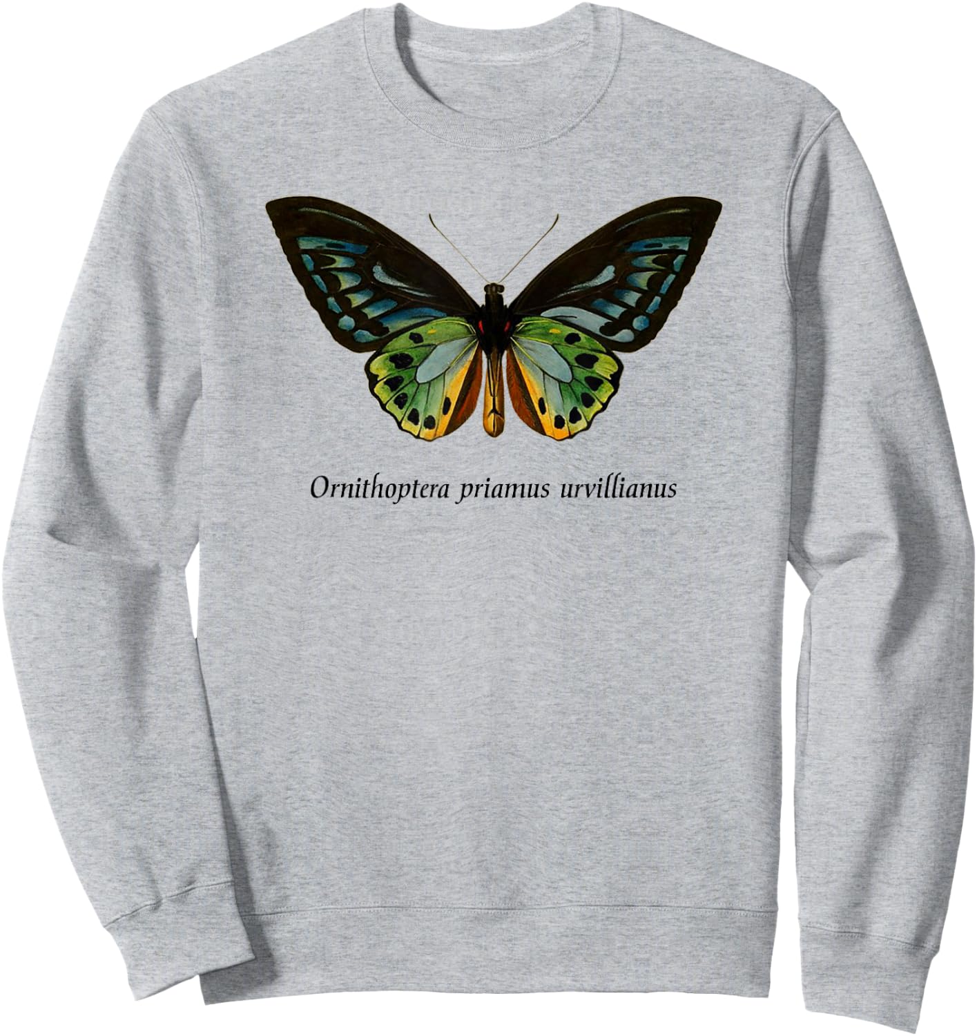 Bird Wing Butterfly Insect Entomology Moth Sweatshirt - Sweatshirt | Ash