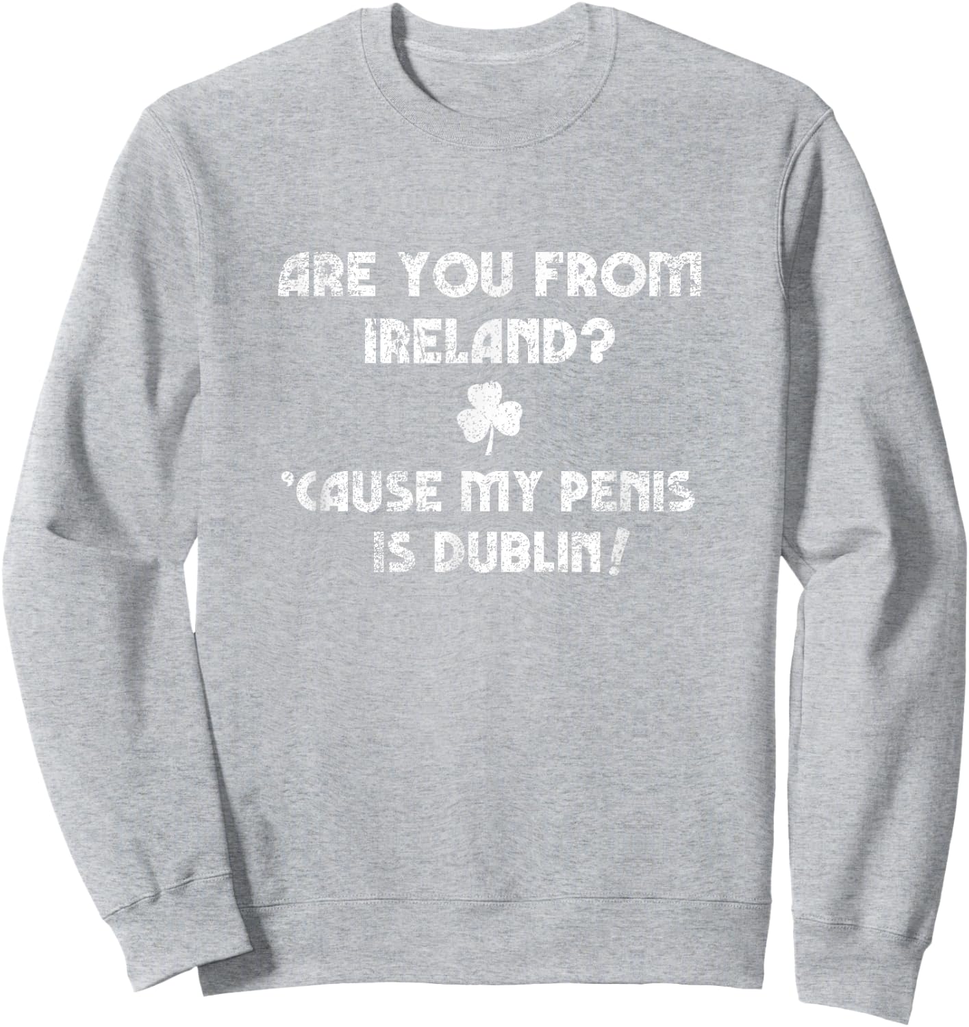 Funny St Patty's Day Inappropriate Pick Up Line Joke Shirt Sweatshirt - Sweatshirt | Ash