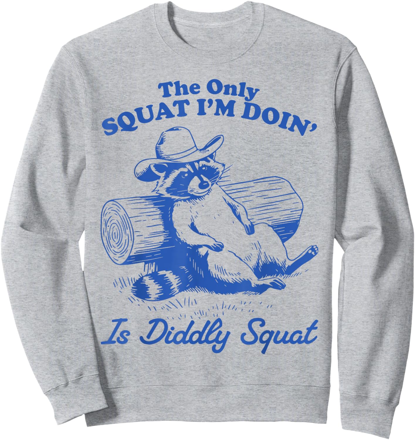 The Only Squat I'm Doing Is Diddly Squat Raccoon Possum Sweatshirt - Sweatshirt | Ash