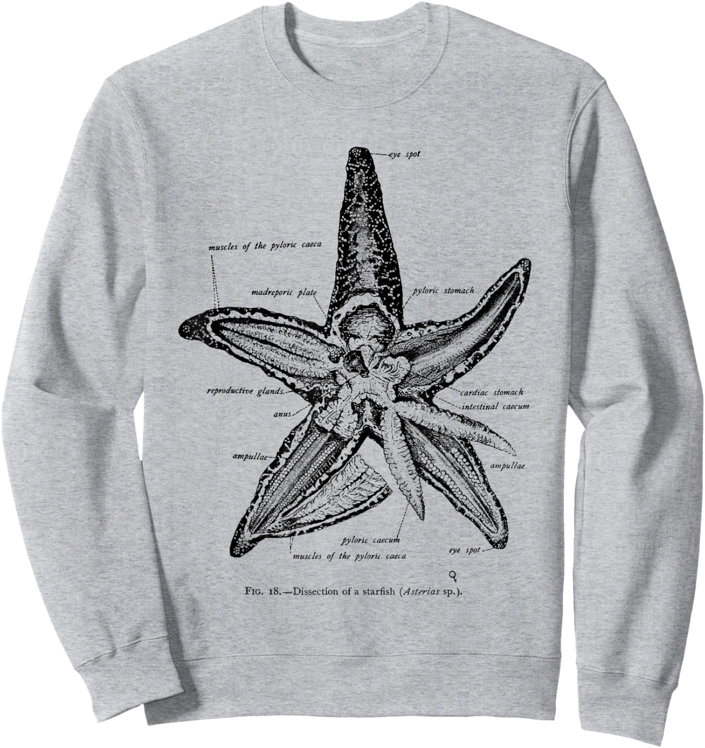 Vintage Marine Biology Starfish Sea Star Sweatshirt - Sweatshirt | Ash