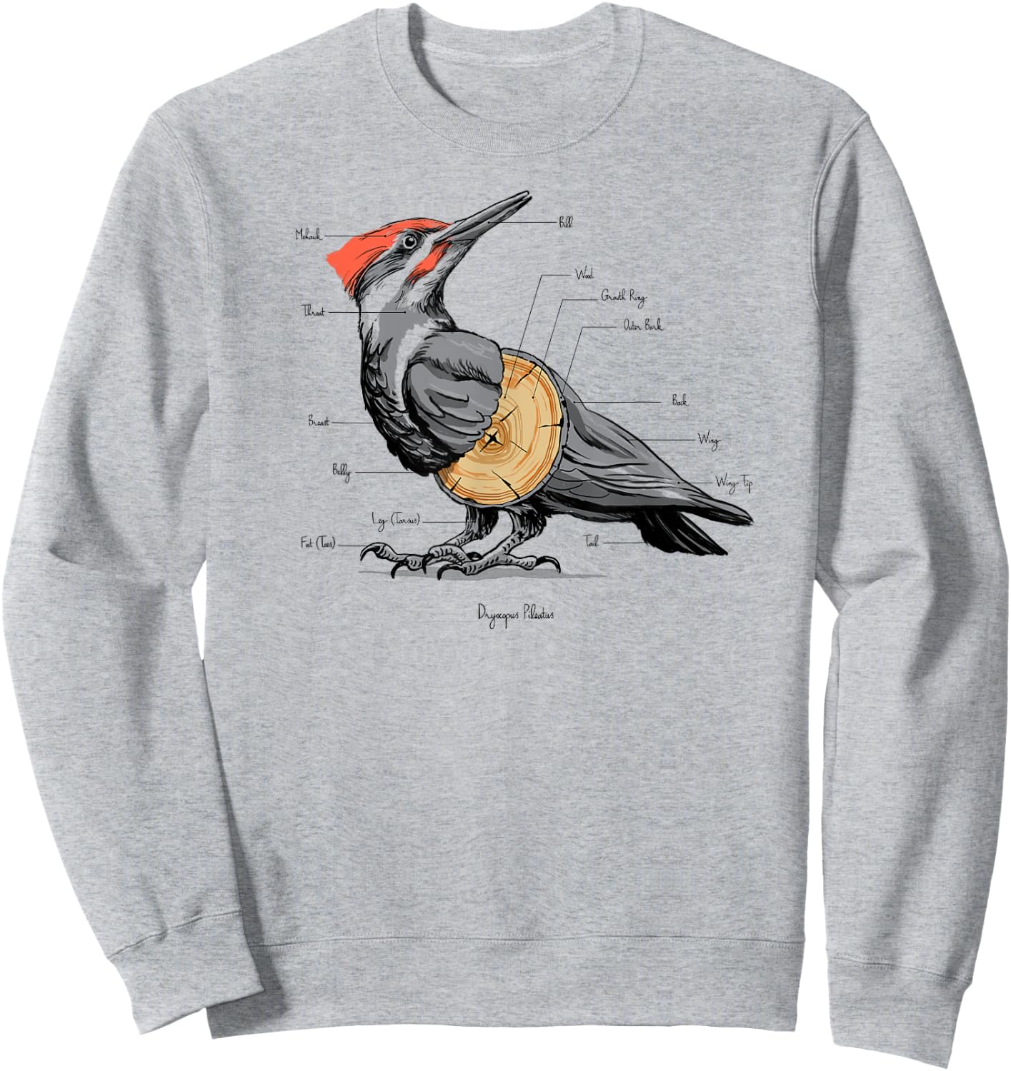 Woodpecker anatomy Sweatshirt - Sweatshirt | Ash