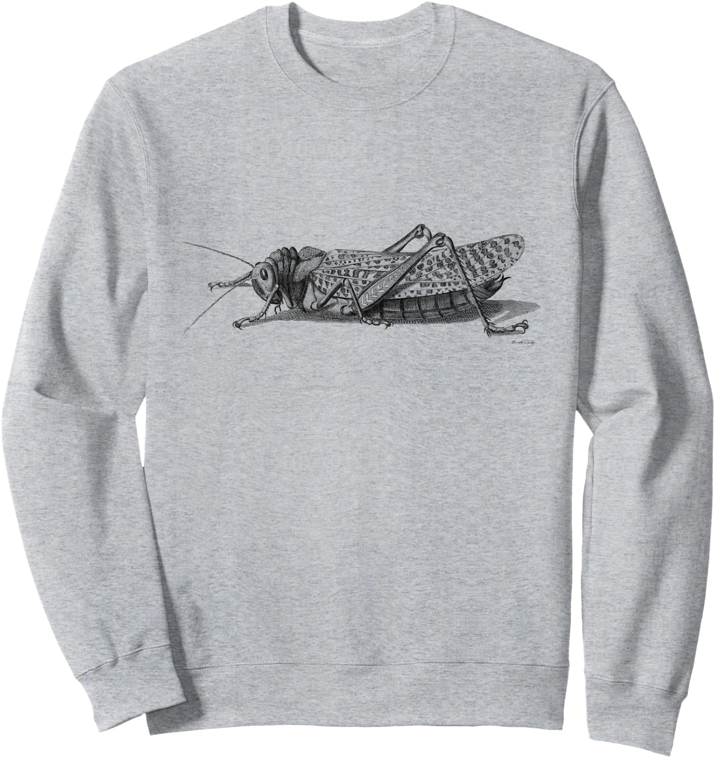 Cricket . Vintage Cricket Insect Sweatshirt - Sweatshirt | Ash