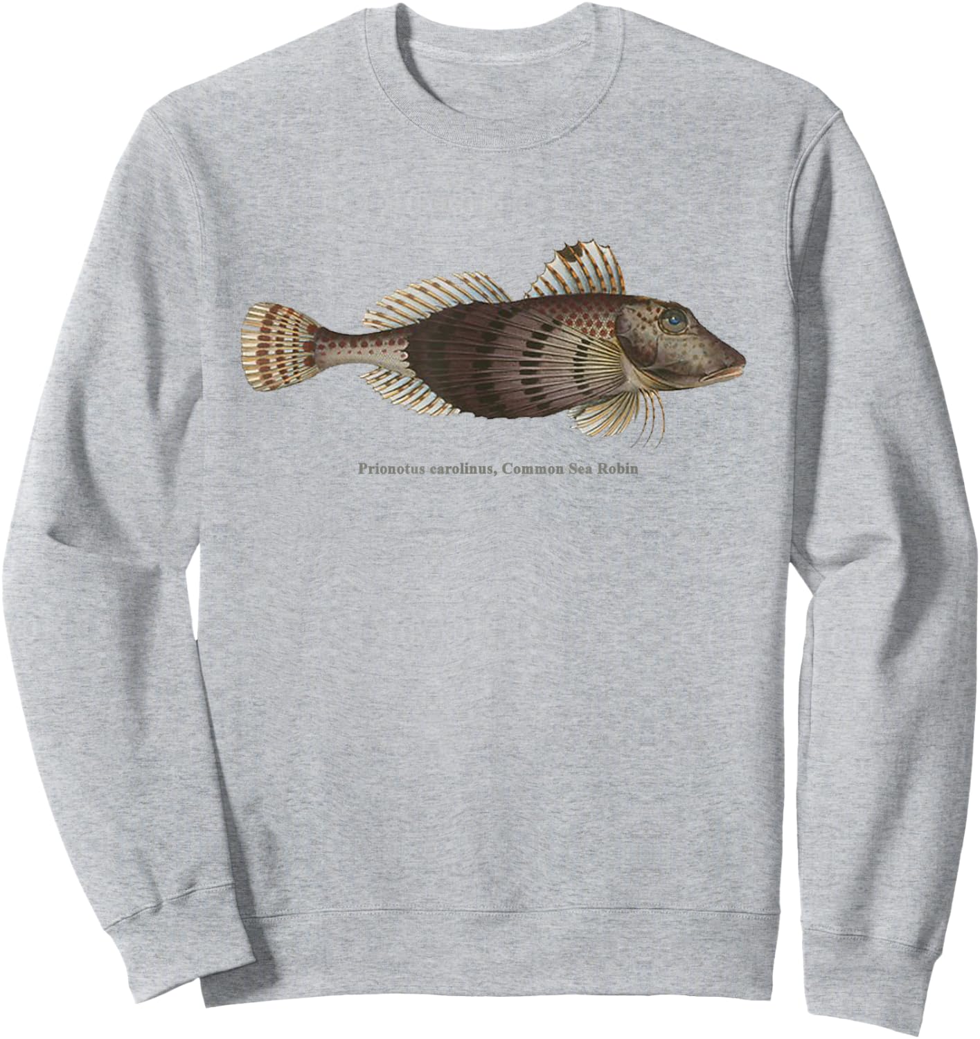 Common Sea Robin - Fish with fins like wings of a bird Sweatshirt - Sweatshirt | Ash