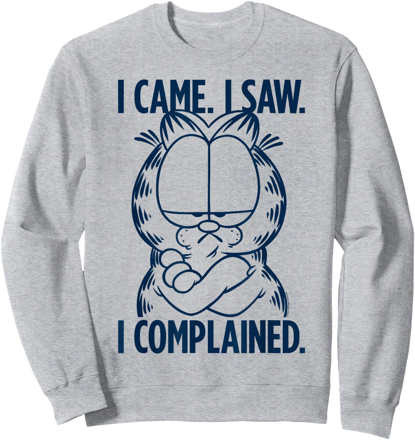 Garfield I Complained Sweatshirt - Sweatshirt | Ash