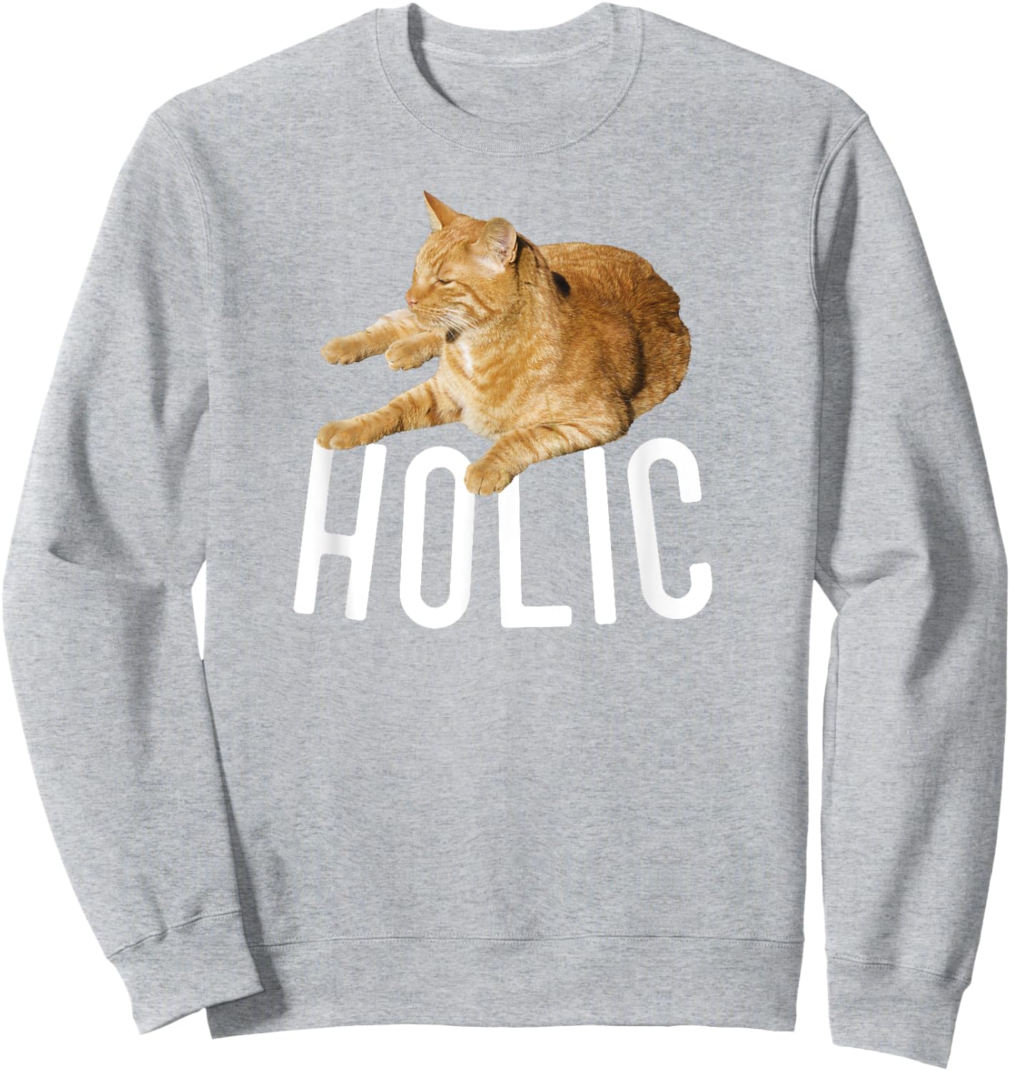 CATholic Tabby Orange Cat Lover Men Women Kids Sweatshirt - Sweatshirt | Ash